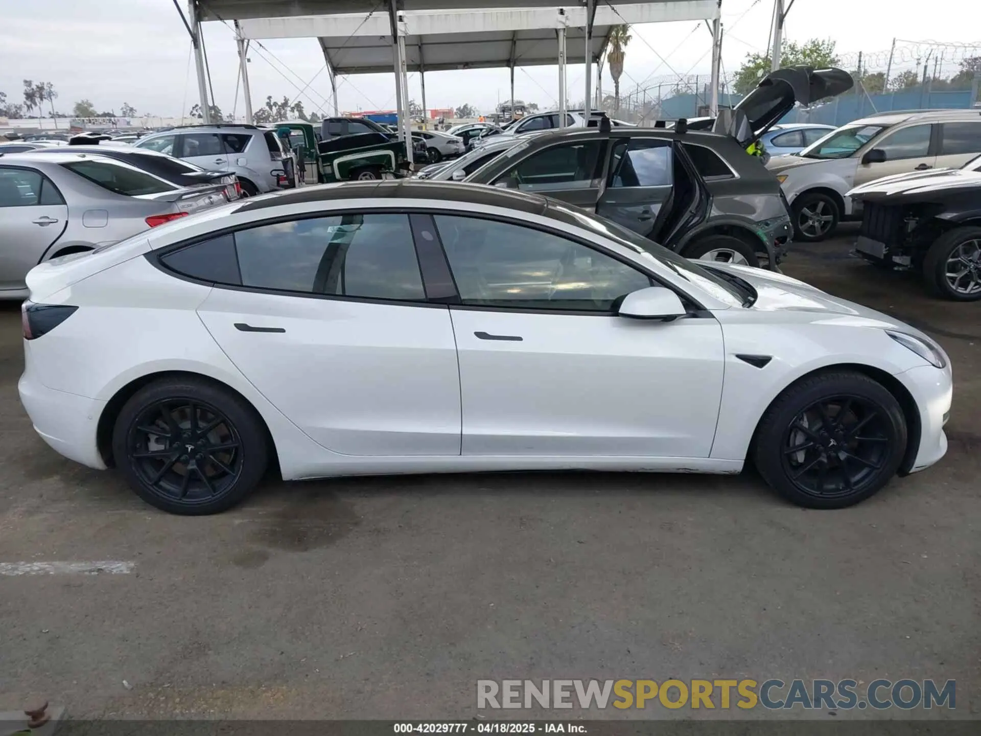13 Photograph of a damaged car 5YJ3E1EB5MF872874 TESLA MODEL 3 2021