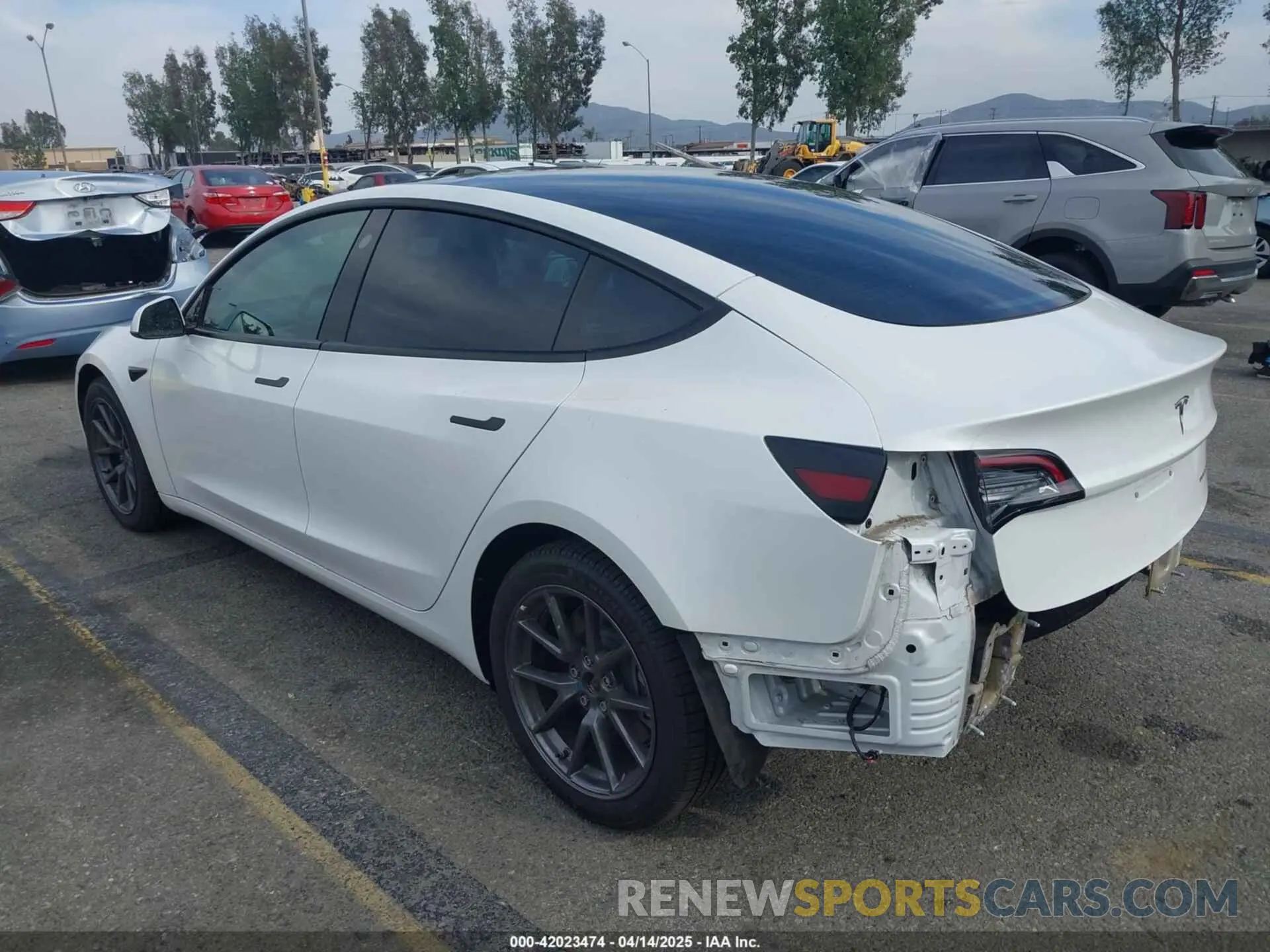 3 Photograph of a damaged car 5YJ3E1EB7MF089524 TESLA MODEL 3 2021