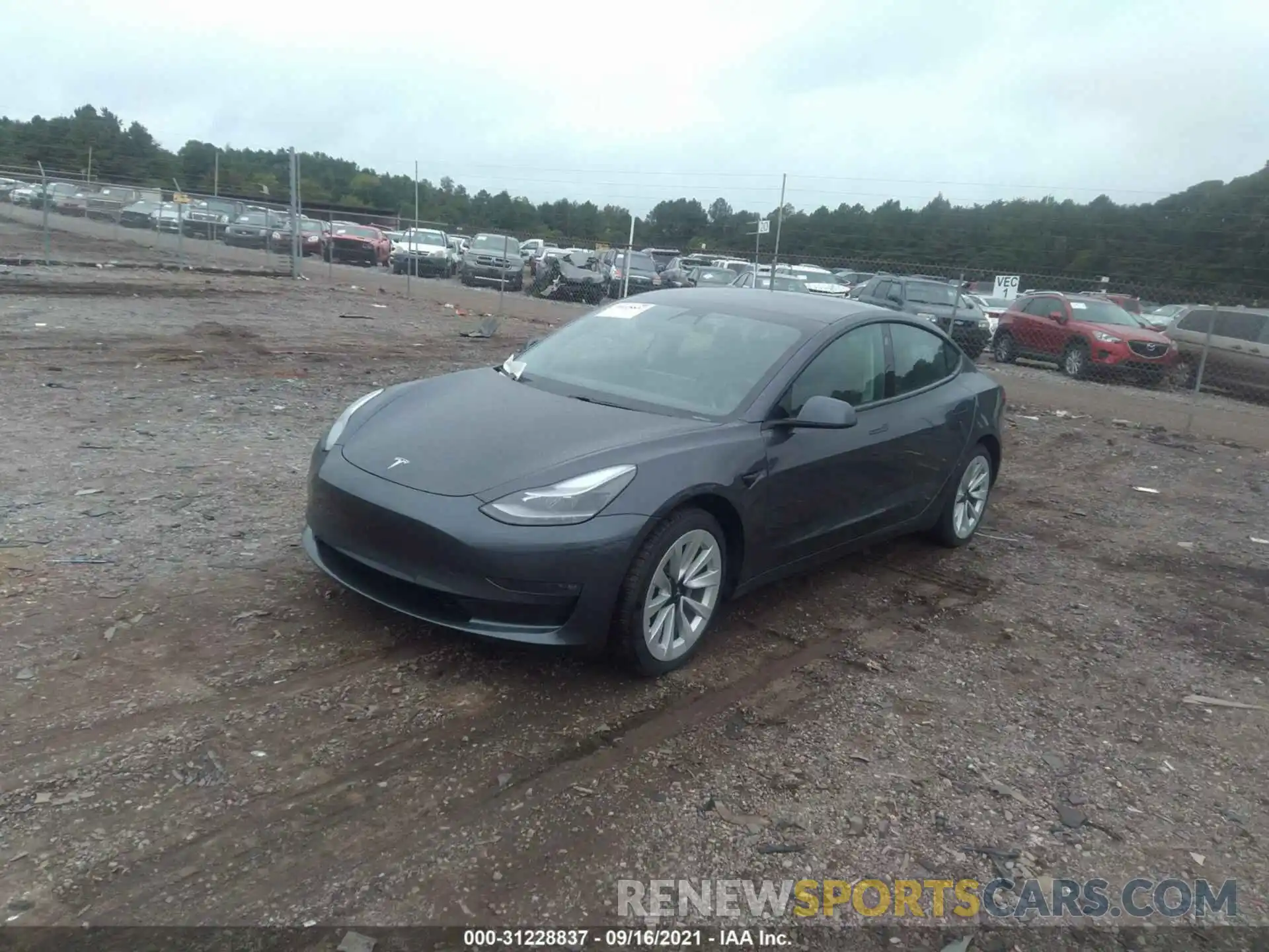 2 Photograph of a damaged car 5YJ3E1EB8MF960821 TESLA MODEL 3 2021