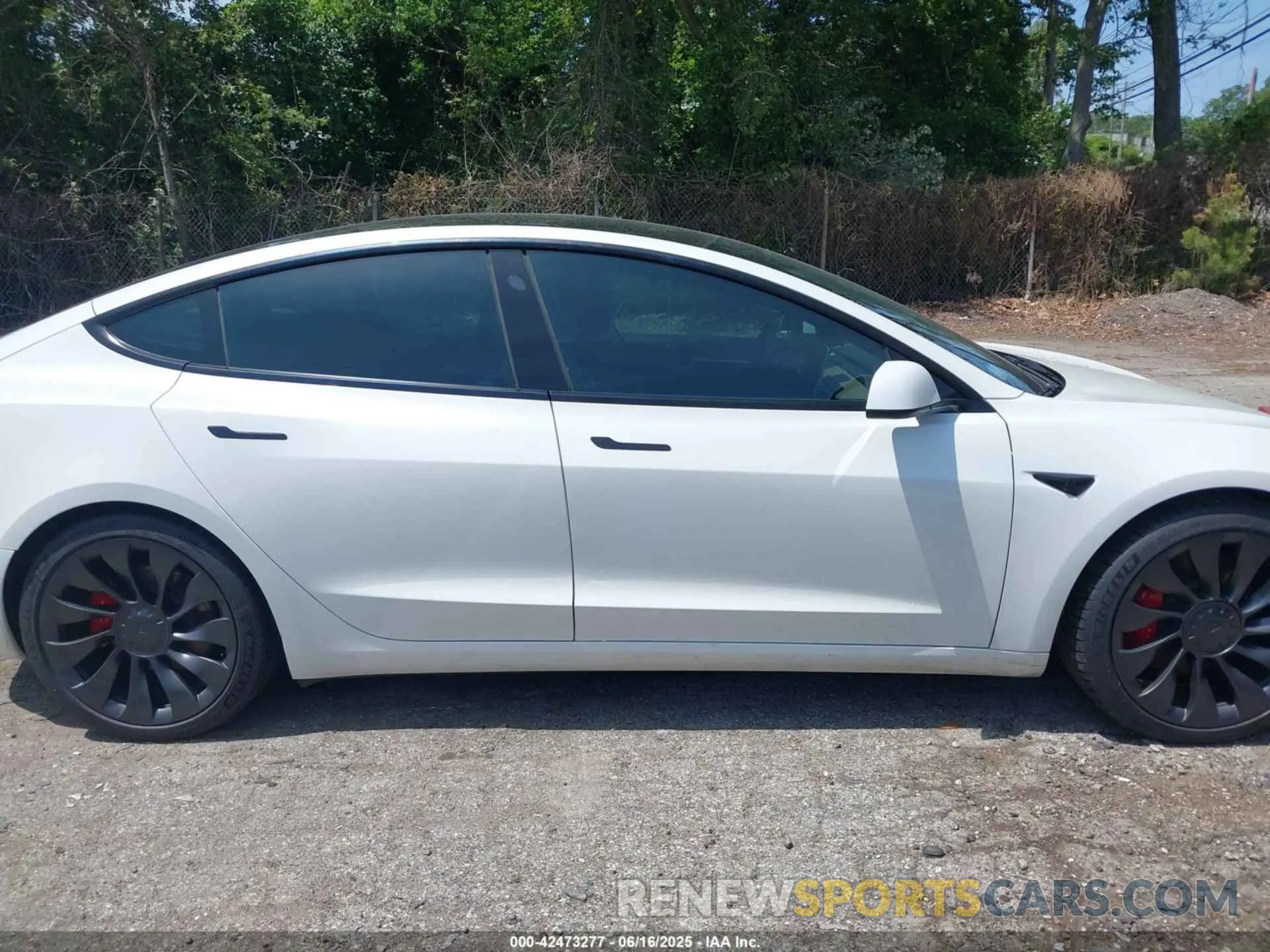 12 Photograph of a damaged car 5YJ3E1EC4MF044601 TESLA MODEL 3 2021