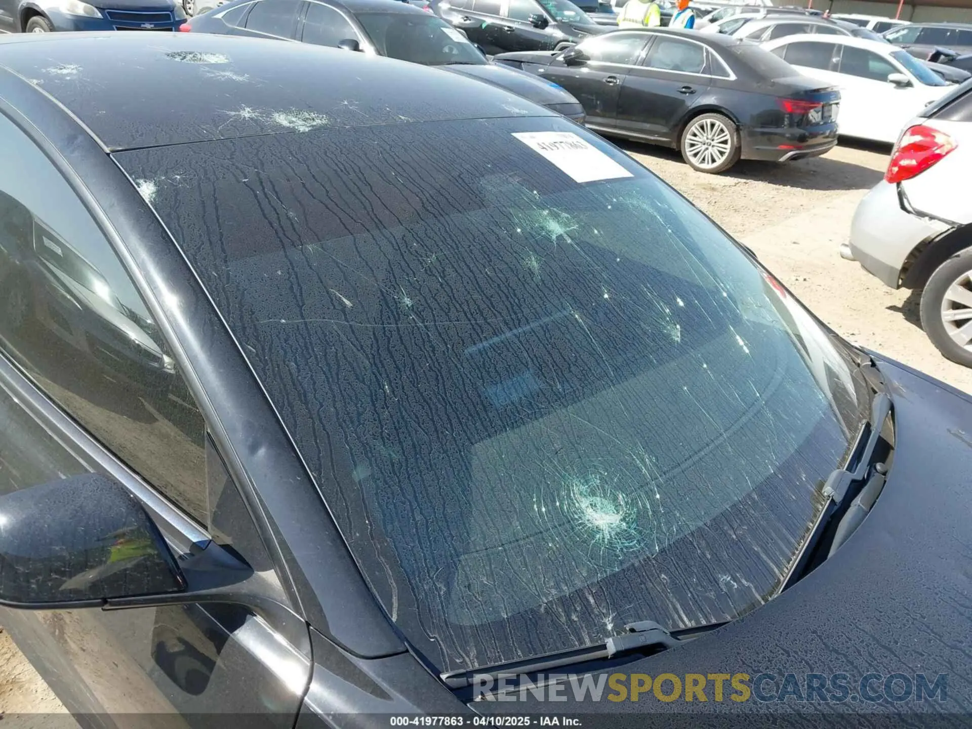 19 Photograph of a damaged car 5YJ3E1EC9MF026546 TESLA MODEL 3 2021