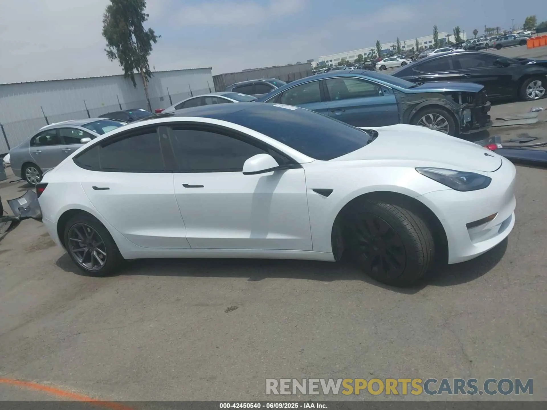 13 Photograph of a damaged car 5YJ3E1EA0NF102851 TESLA MODEL 3 2022