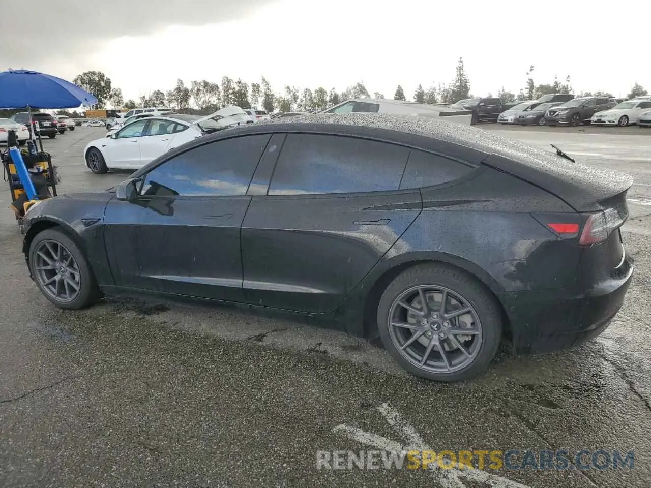 2 Photograph of a damaged car 5YJ3E1EA2NF234039 TESLA MODEL 3 2022