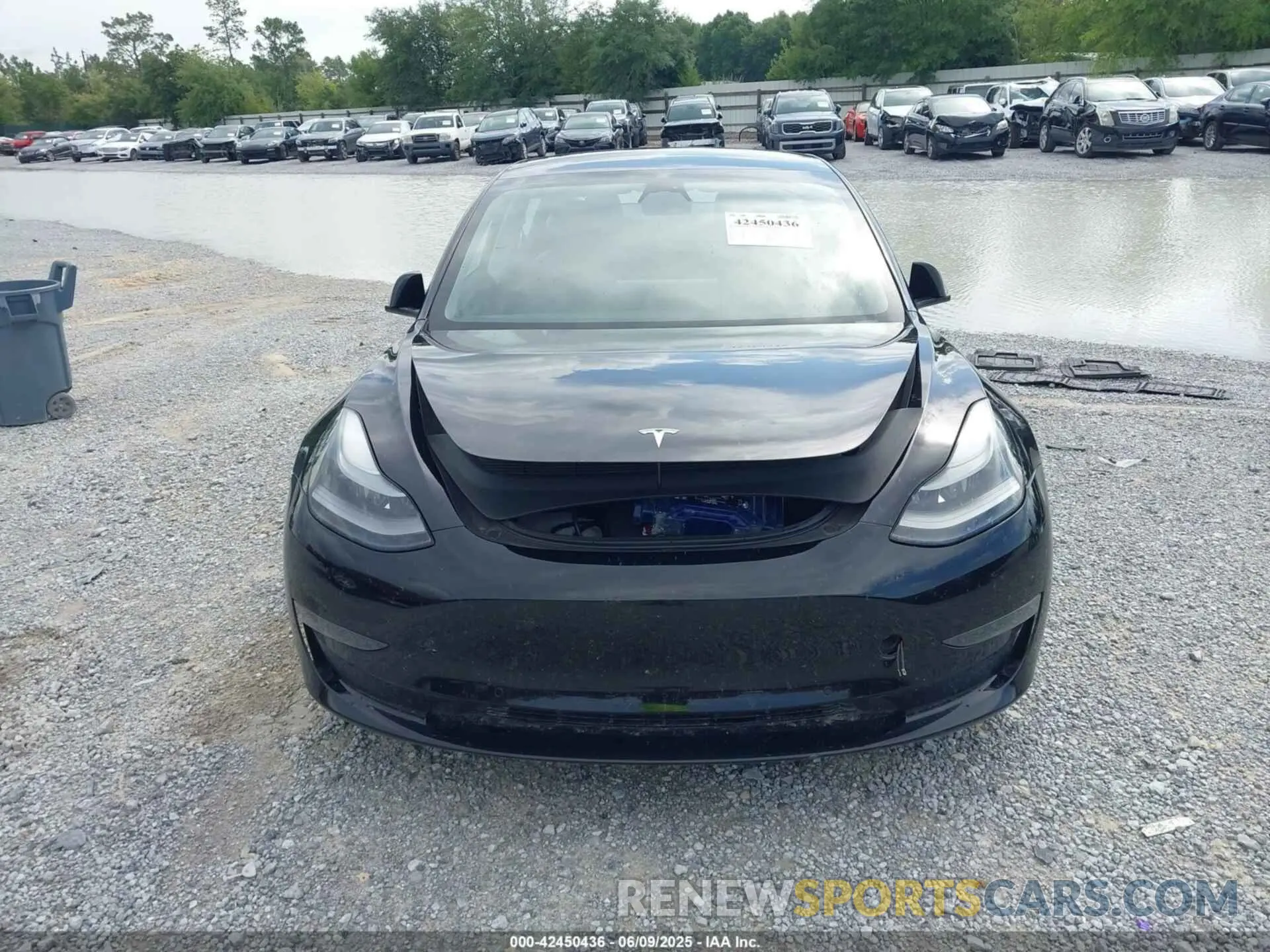 12 Photograph of a damaged car 5YJ3E1EA3NF336255 TESLA MODEL 3 2022