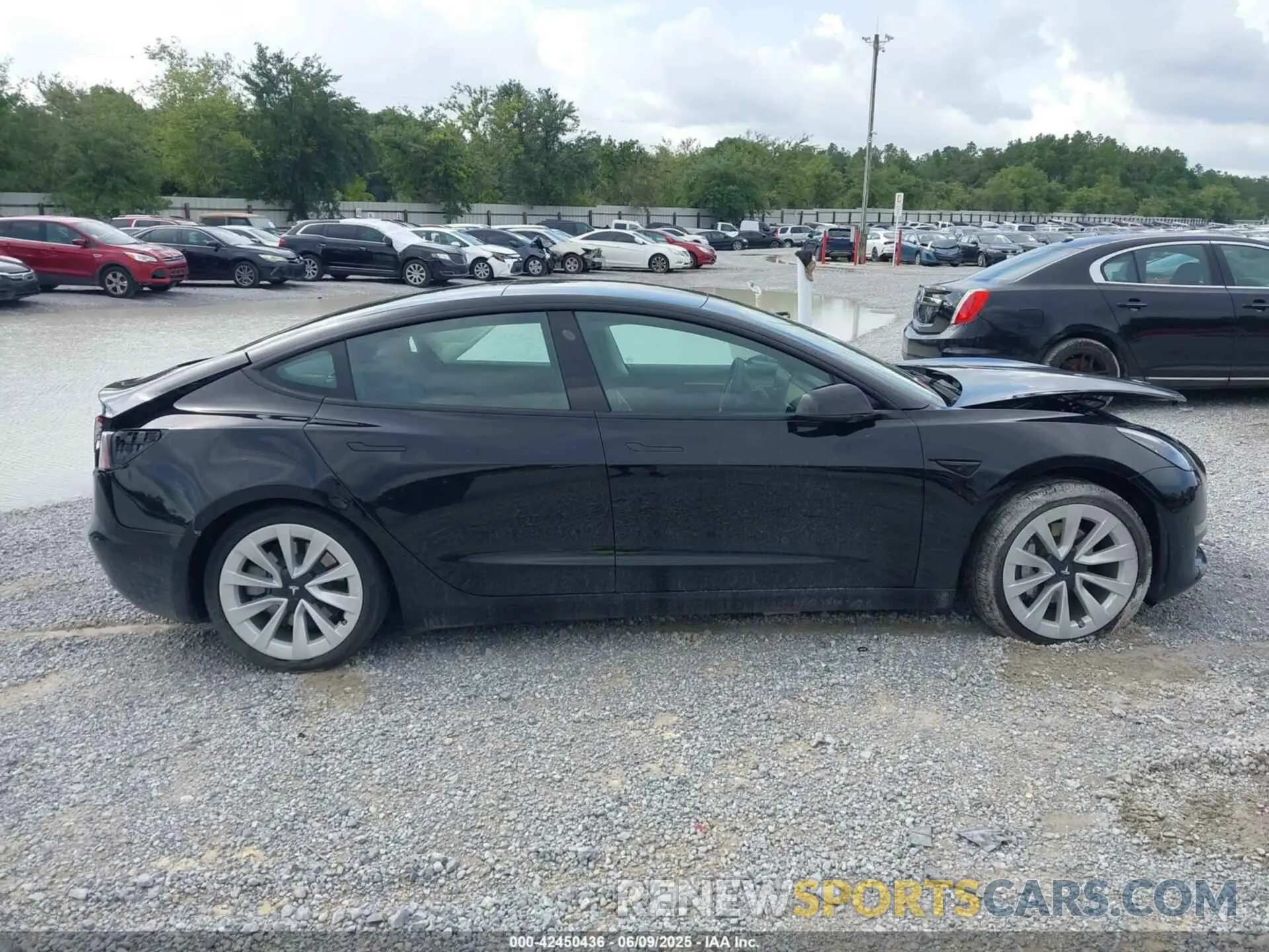 13 Photograph of a damaged car 5YJ3E1EA3NF336255 TESLA MODEL 3 2022