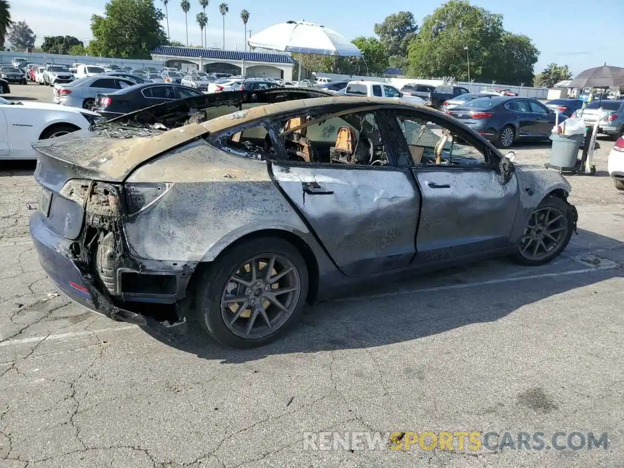 3 Photograph of a damaged car 5YJ3E1EA3NF376562 TESLA MODEL 3 2022