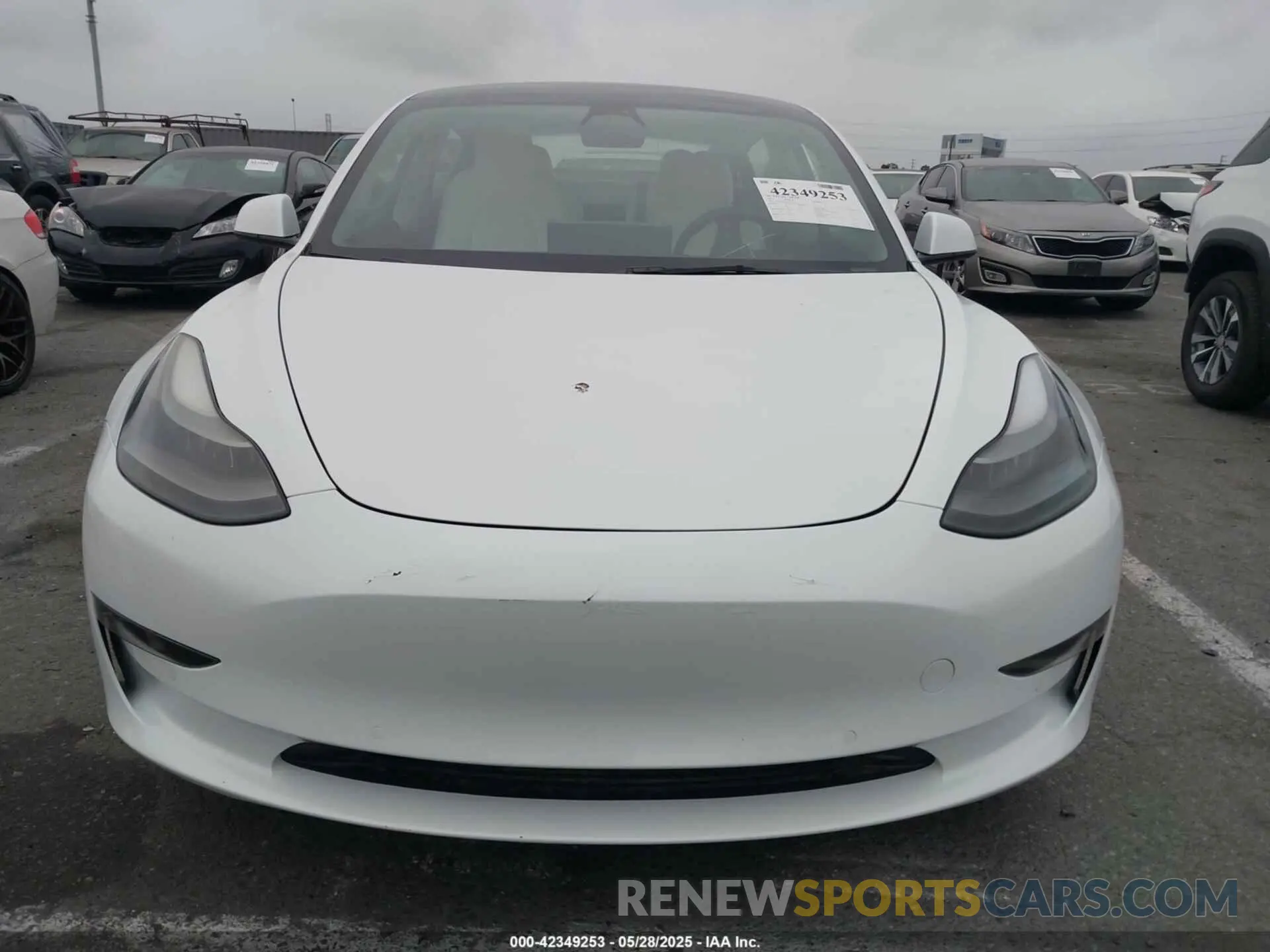 12 Photograph of a damaged car 5YJ3E1EA5NF251126 TESLA MODEL 3 2022