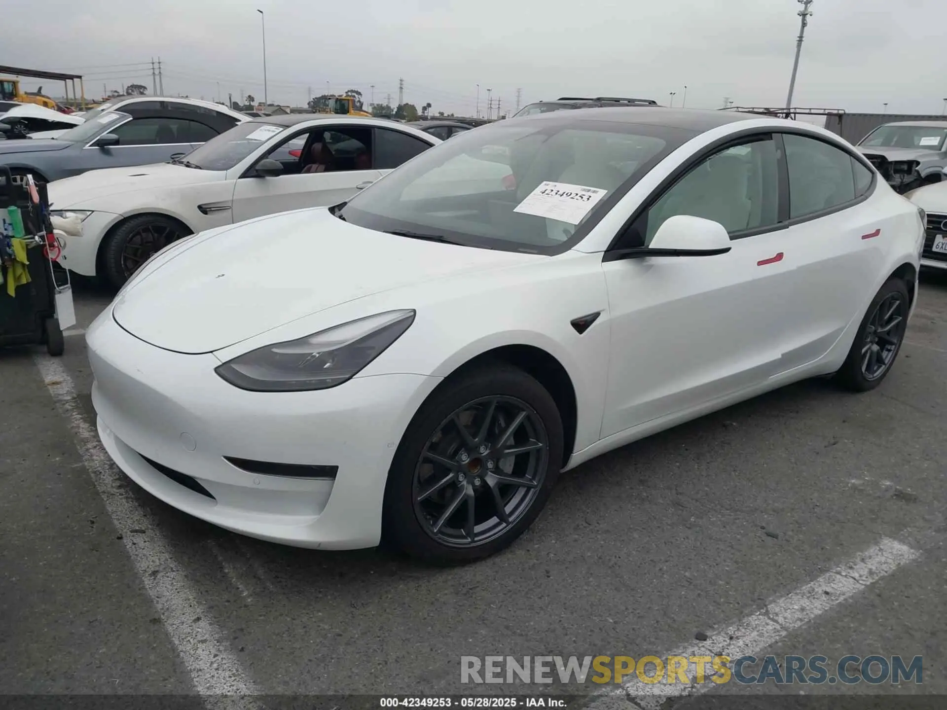 2 Photograph of a damaged car 5YJ3E1EA5NF251126 TESLA MODEL 3 2022