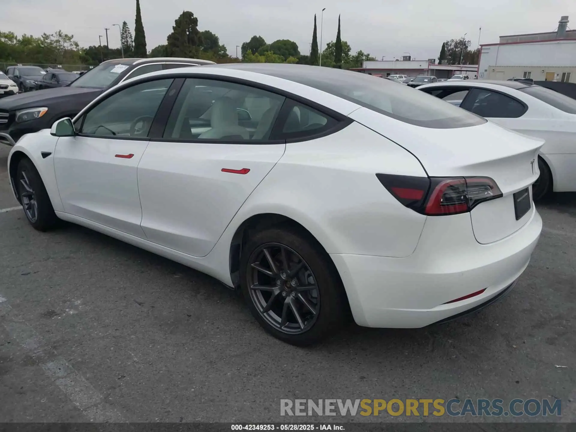 3 Photograph of a damaged car 5YJ3E1EA5NF251126 TESLA MODEL 3 2022