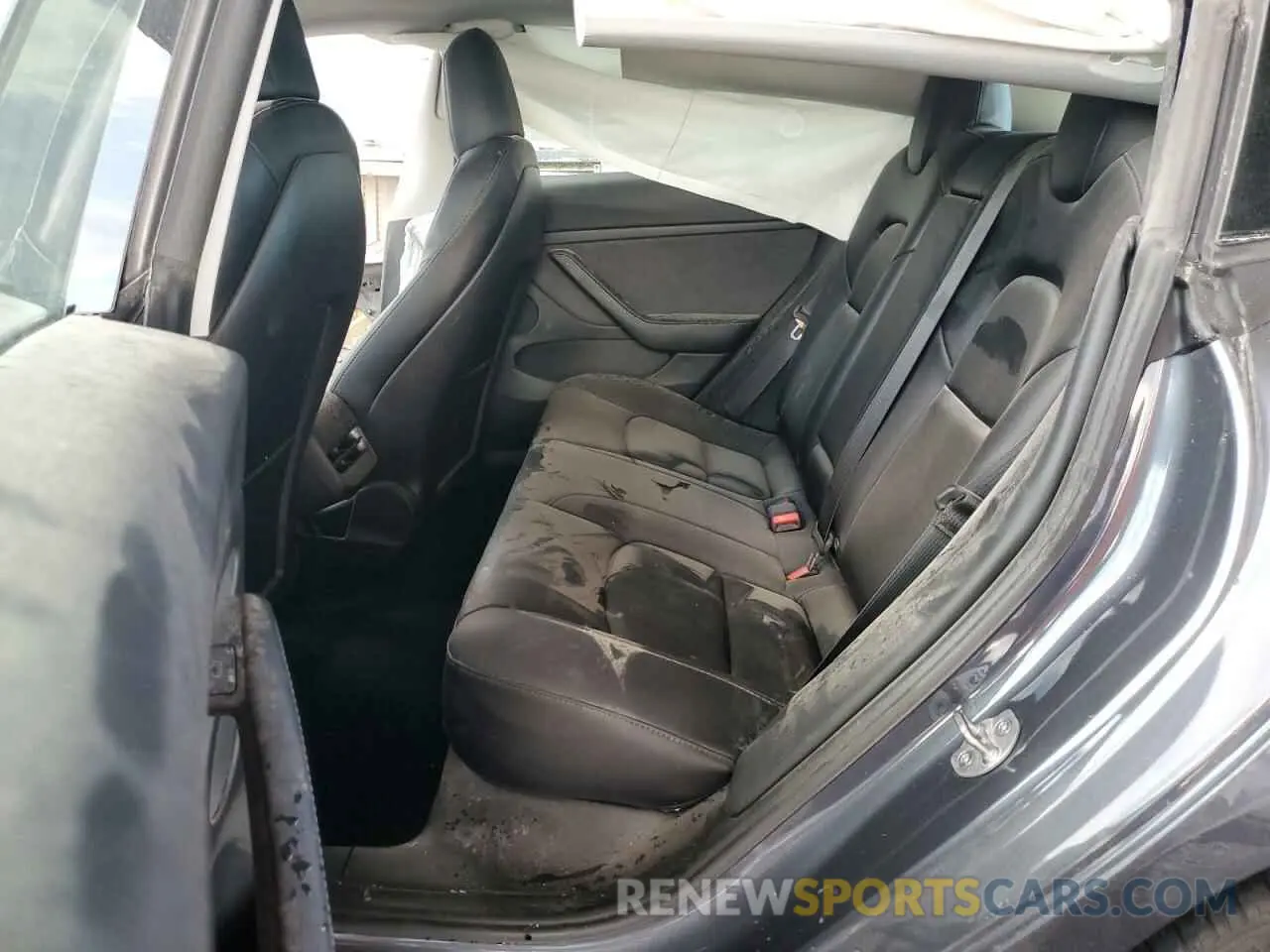 10 Photograph of a damaged car 5YJ3E1EA5NF331641 TESLA MODEL 3 2022