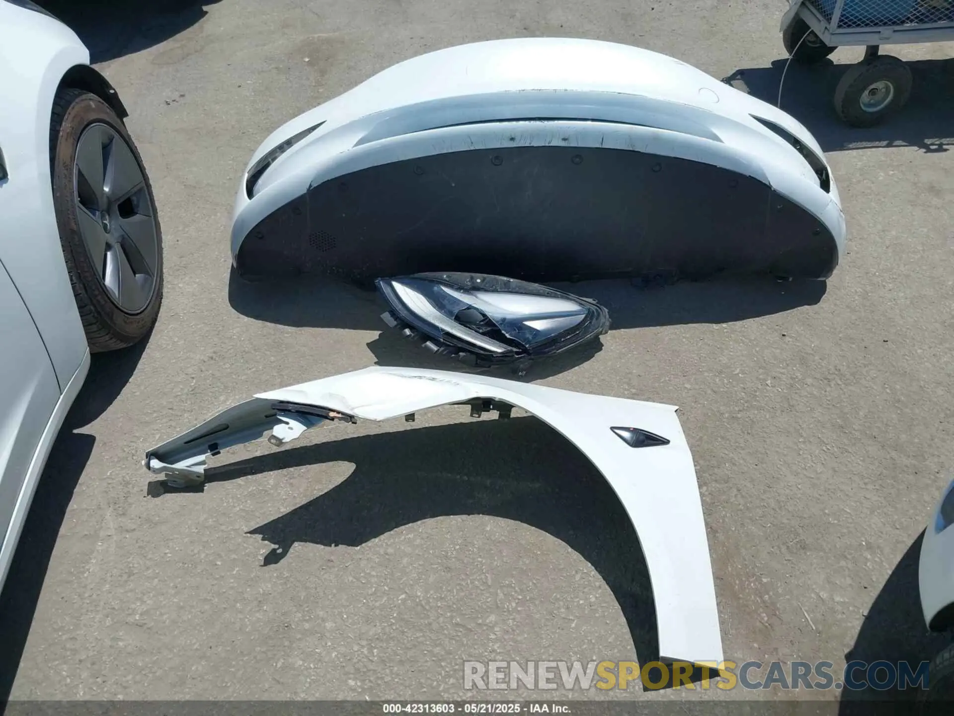 12 Photograph of a damaged car 5YJ3E1EA6NF376605 TESLA MODEL 3 2022