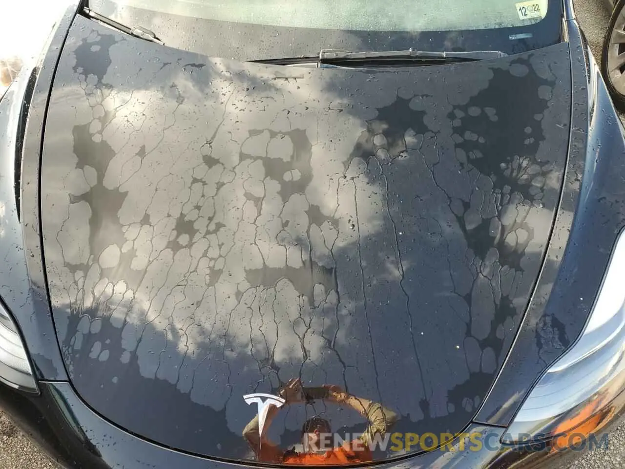 11 Photograph of a damaged car 5YJ3E1EA8NF120675 TESLA MODEL 3 2022