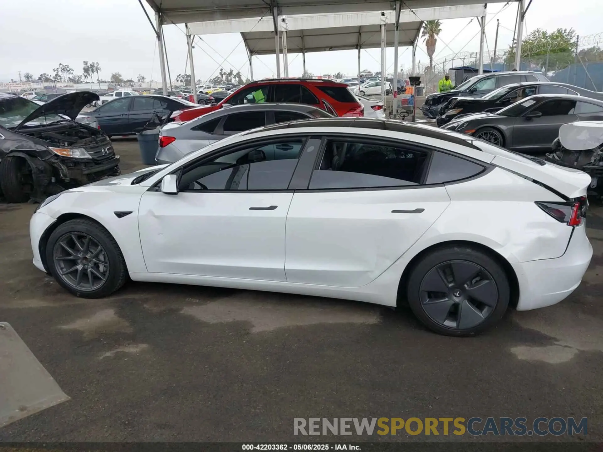 14 Photograph of a damaged car 5YJ3E1EAXNF117101 TESLA MODEL 3 2022