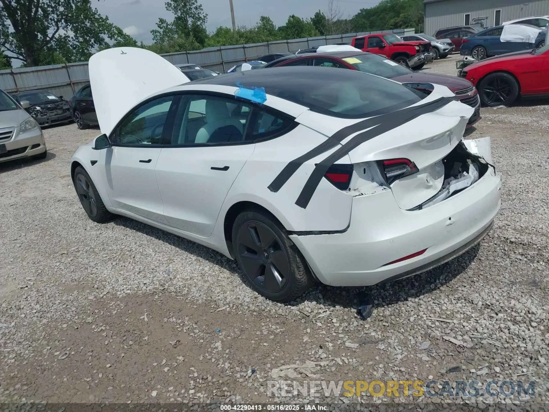 3 Photograph of a damaged car 5YJ3E1EB4NF165427 TESLA MODEL 3 2022