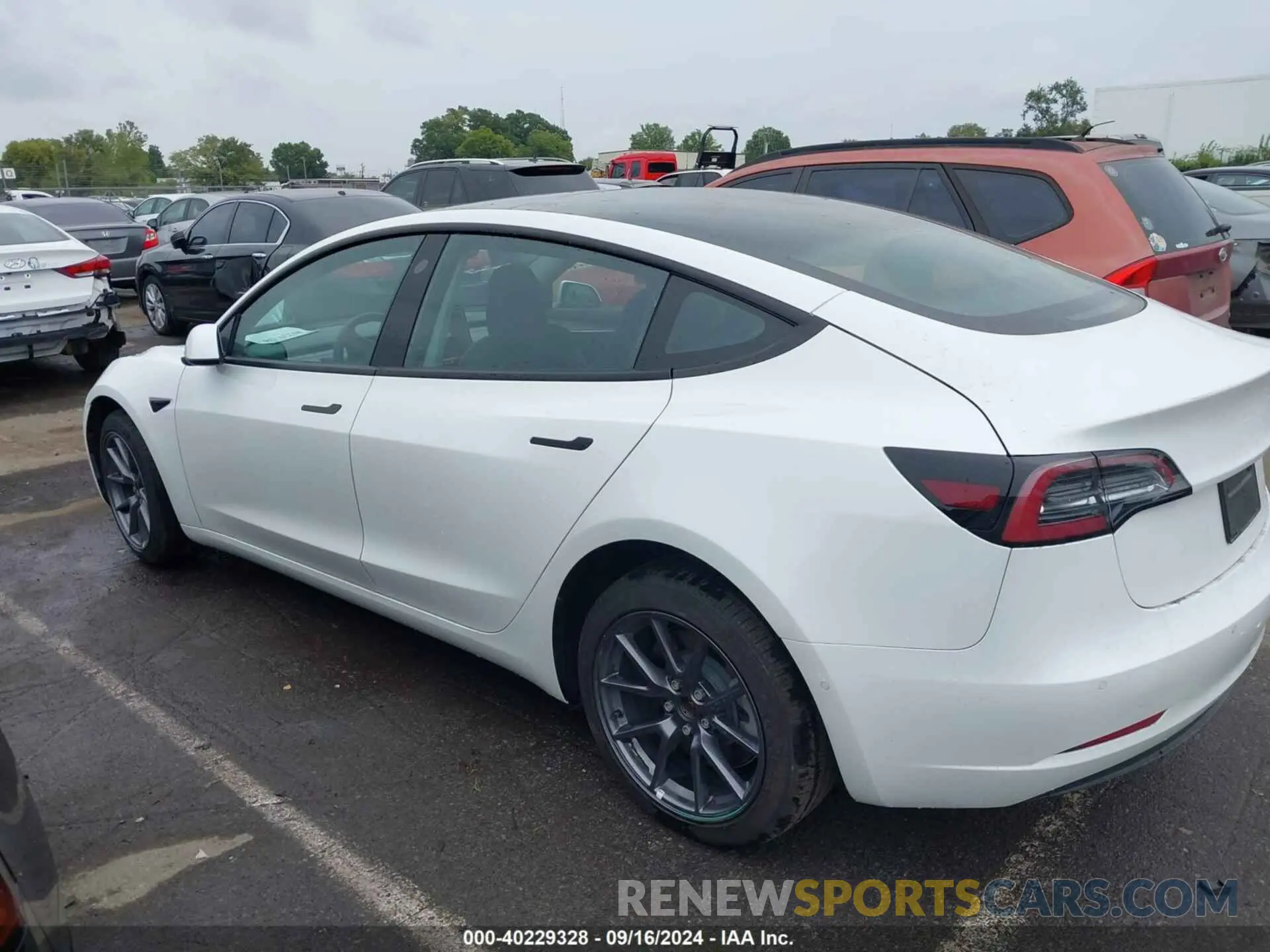 14 Photograph of a damaged car 5YJ3E1EB5NF339229 TESLA MODEL 3 2022