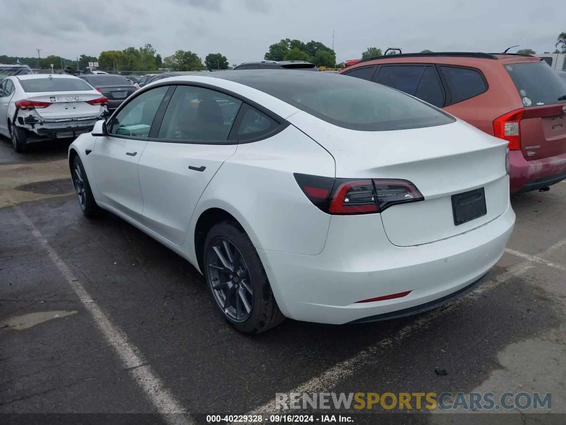 3 Photograph of a damaged car 5YJ3E1EB5NF339229 TESLA MODEL 3 2022