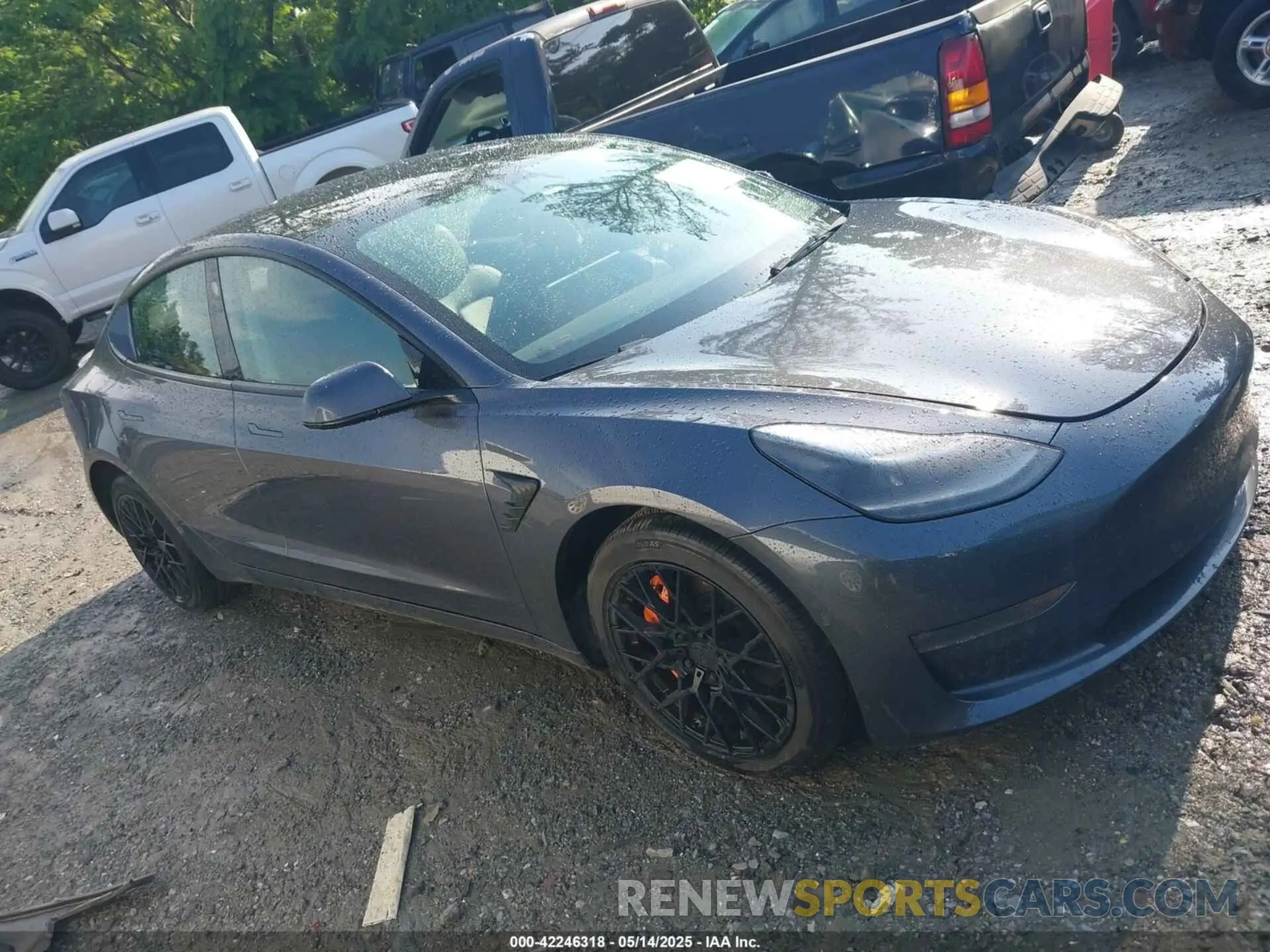 12 Photograph of a damaged car 5YJ3E1EB6NF189096 TESLA MODEL 3 2022
