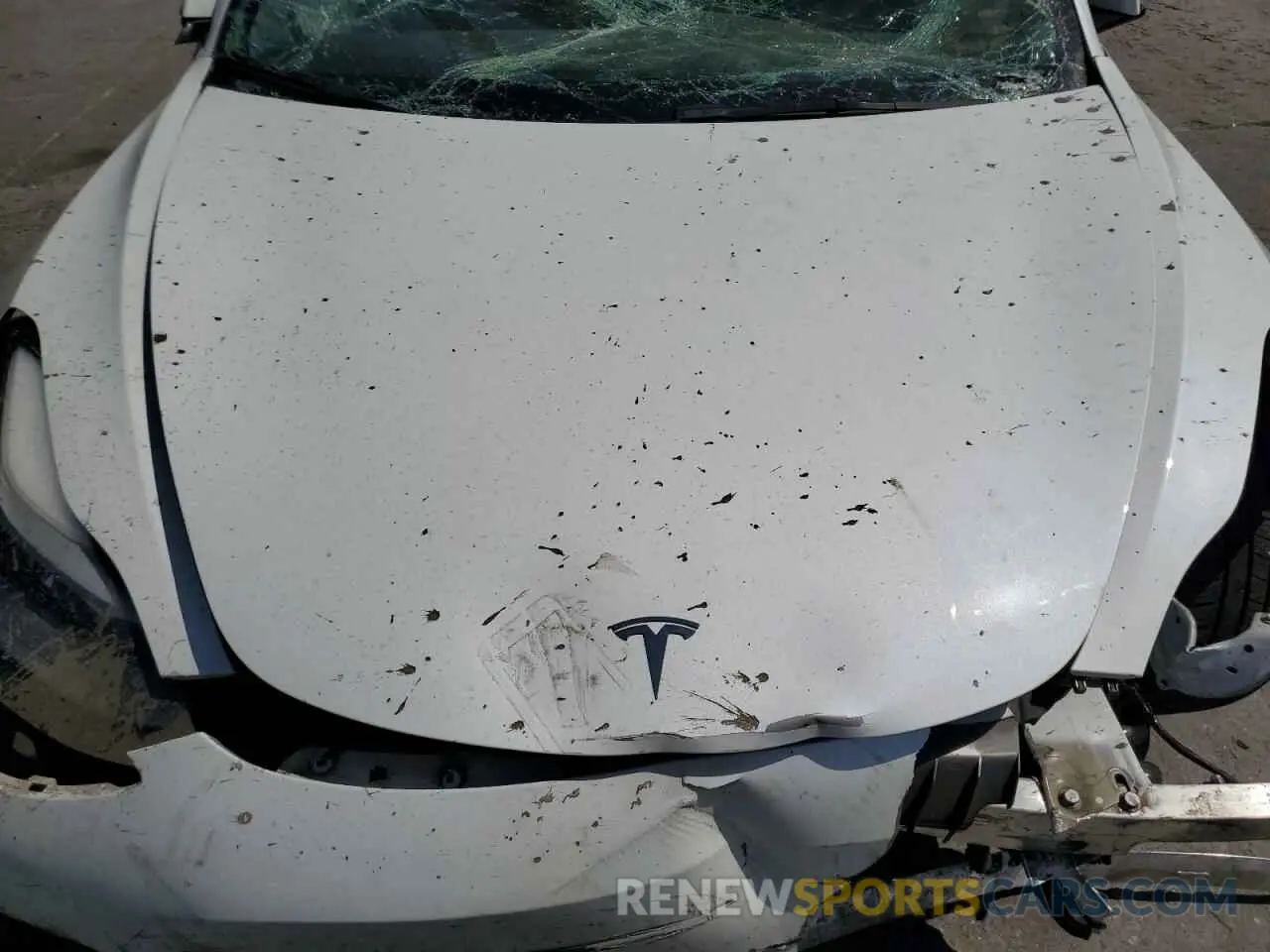 12 Photograph of a damaged car 5YJ3E1EBXNF211018 TESLA MODEL 3 2022