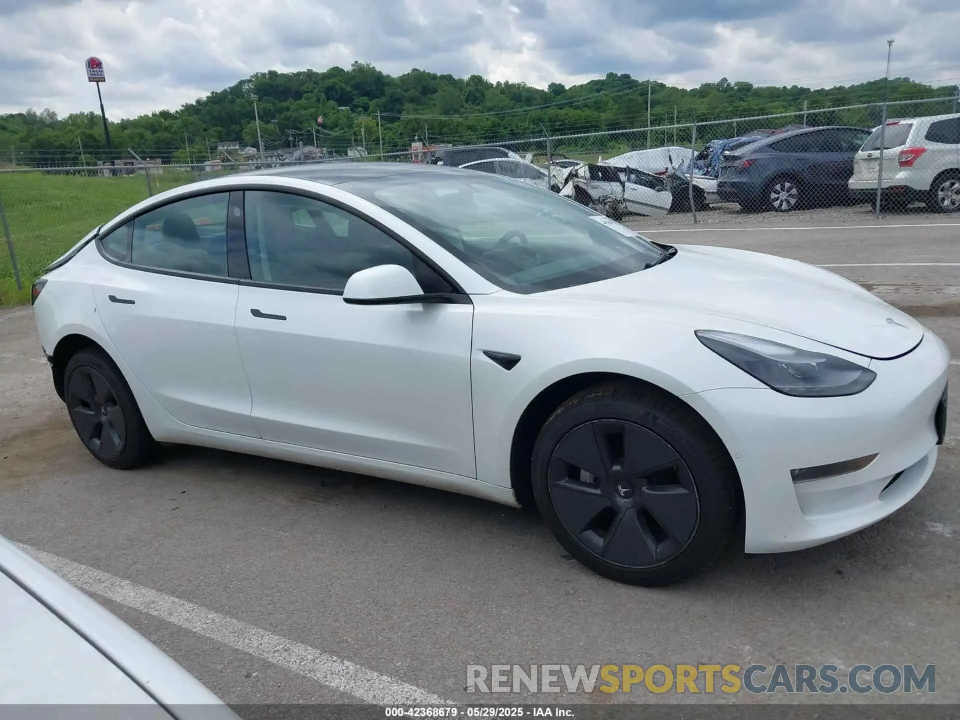 13 Photograph of a damaged car 5YJ3E1EBXNF319851 TESLA MODEL 3 2022