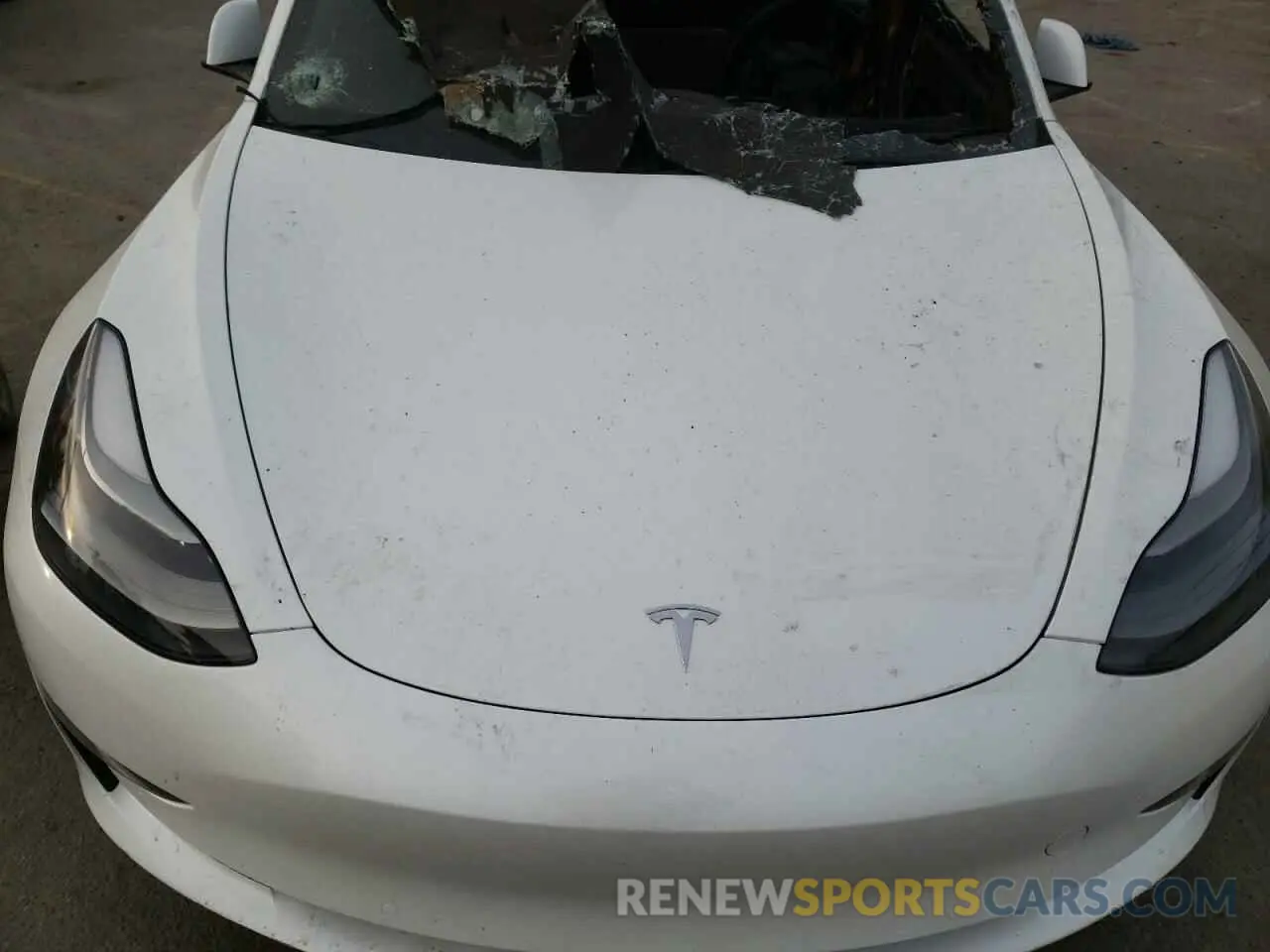 12 Photograph of a damaged car 5YJ3E1EC3NF265334 TESLA MODEL 3 2022
