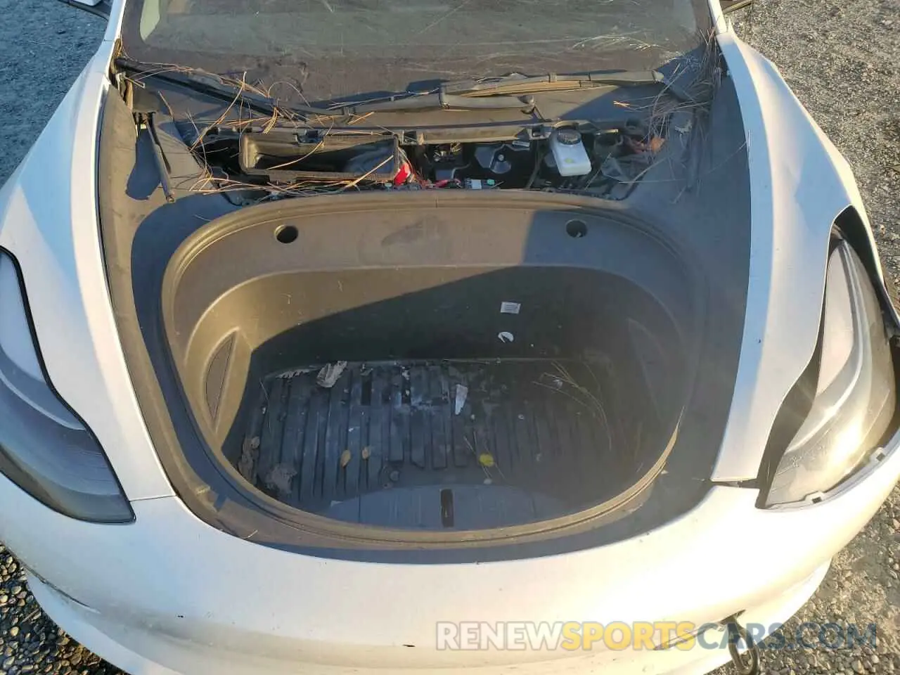 13 Photograph of a damaged car 5YJ3E1ECXNF354477 TESLA MODEL 3 2022