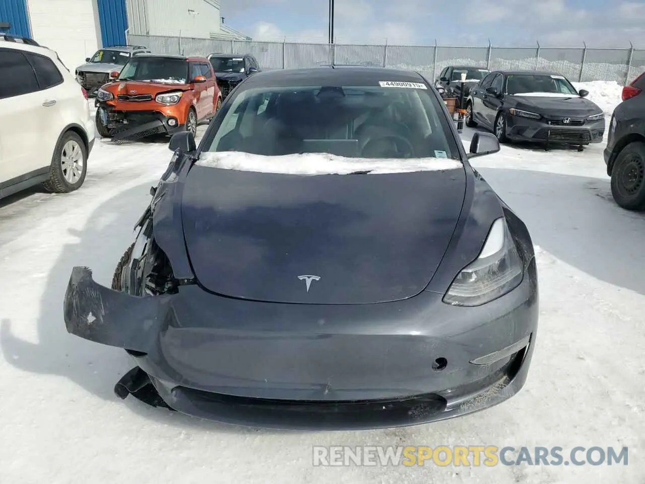 5 Photograph of a damaged car 5YJ3E1EA0PF405034 TESLA MODEL 3 2023