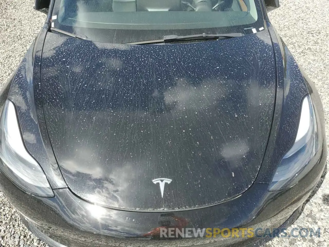 11 Photograph of a damaged car 5YJ3E1EA0PF455481 TESLA MODEL 3 2023
