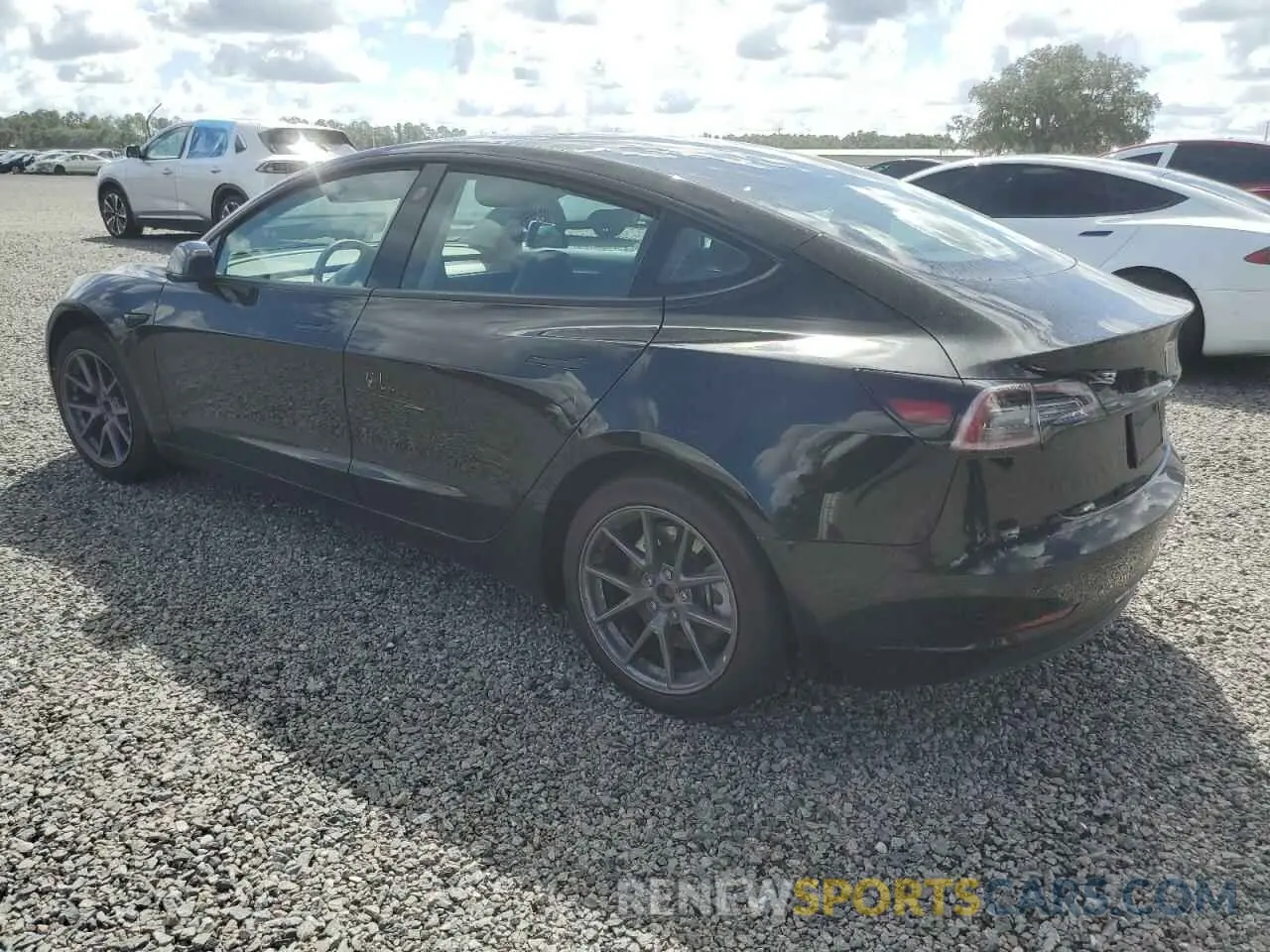 2 Photograph of a damaged car 5YJ3E1EA0PF455481 TESLA MODEL 3 2023