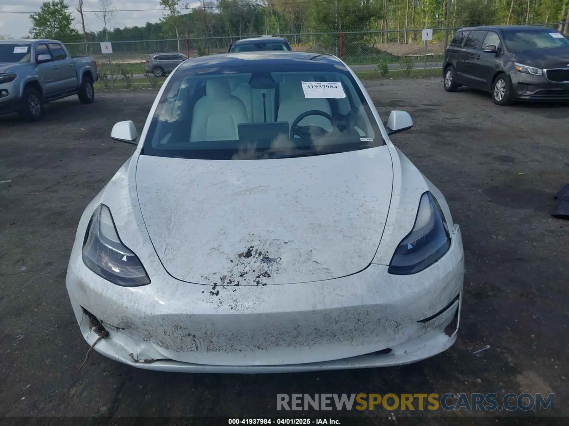 12 Photograph of a damaged car 5YJ3E1EA0PF480316 TESLA MODEL 3 2023