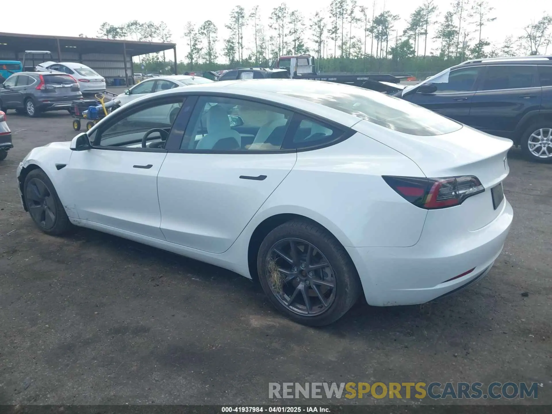 3 Photograph of a damaged car 5YJ3E1EA0PF480316 TESLA MODEL 3 2023