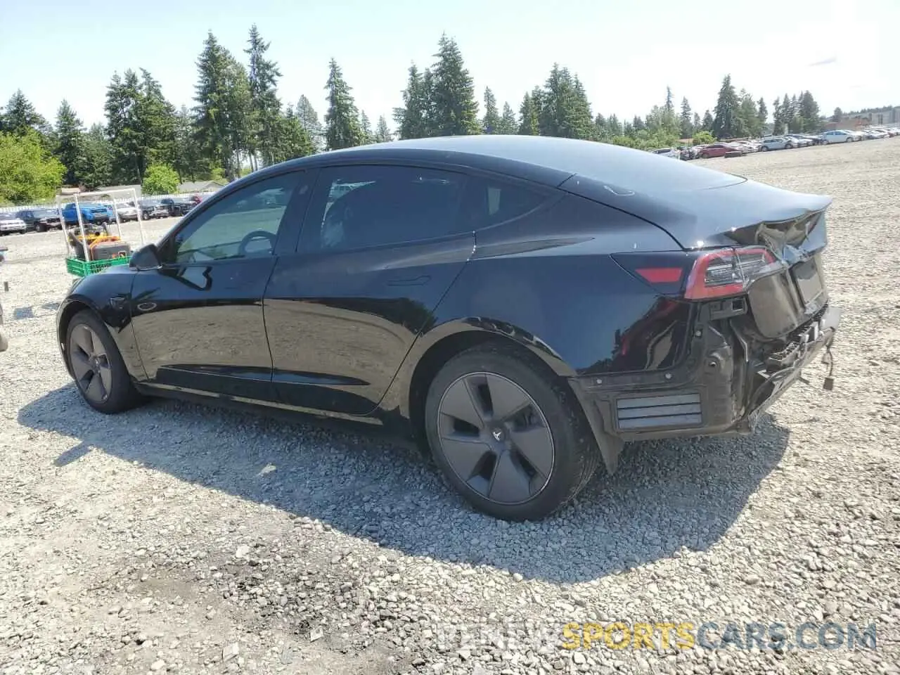2 Photograph of a damaged car 5YJ3E1EA0PF518014 TESLA MODEL 3 2023
