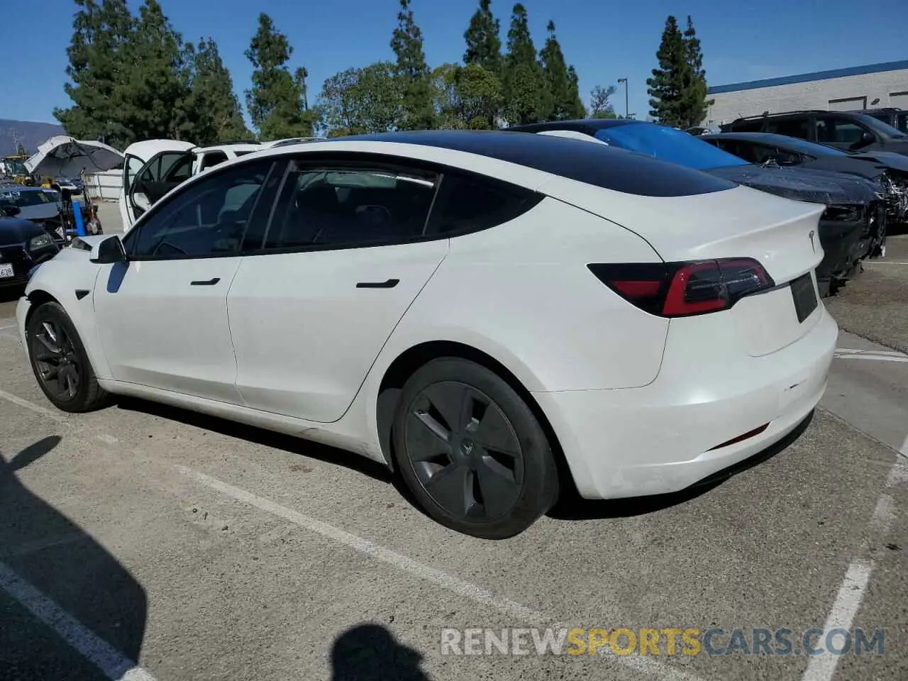 2 Photograph of a damaged car 5YJ3E1EA0PF549490 TESLA MODEL 3 2023