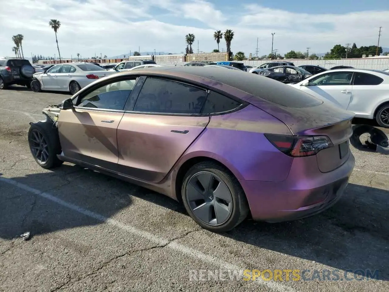 2 Photograph of a damaged car 5YJ3E1EA0PF551630 TESLA MODEL 3 2023