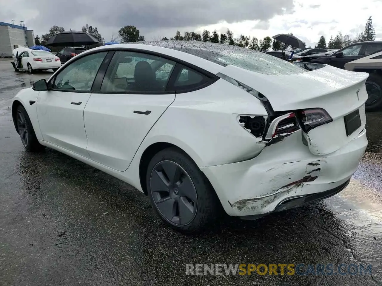 2 Photograph of a damaged car 5YJ3E1EA0PF556715 TESLA MODEL 3 2023