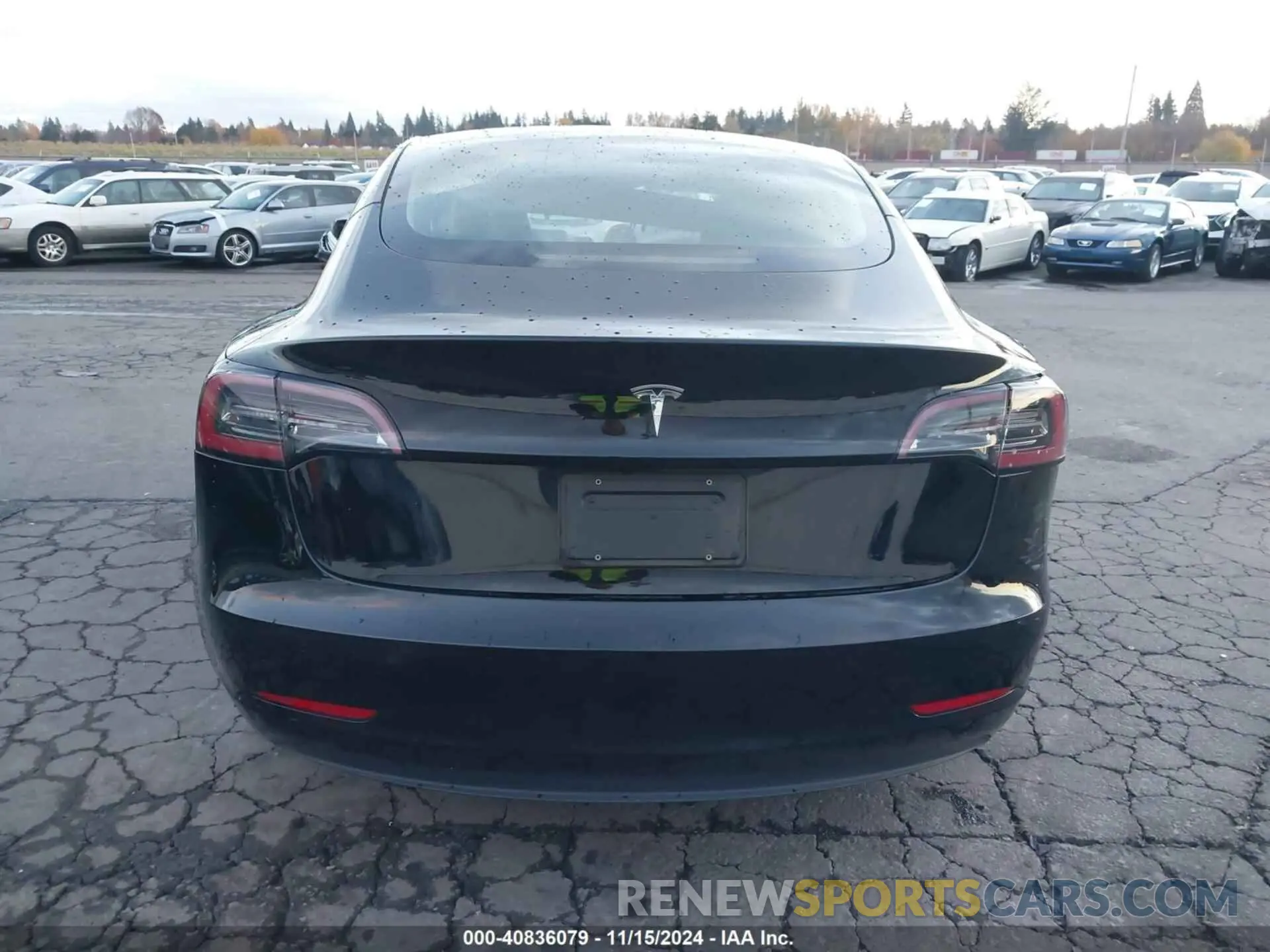 15 Photograph of a damaged car 5YJ3E1EA0PF560814 TESLA MODEL 3 2023