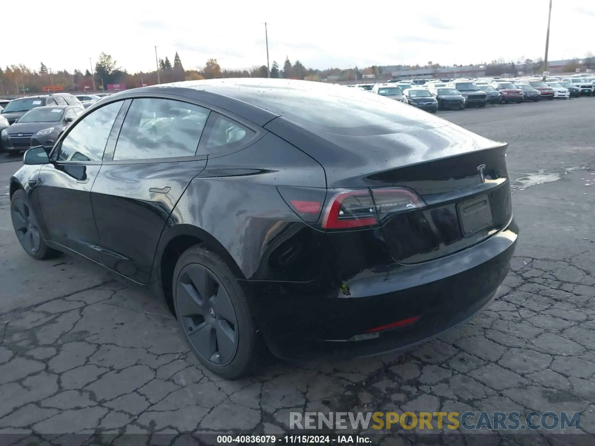 3 Photograph of a damaged car 5YJ3E1EA0PF560814 TESLA MODEL 3 2023