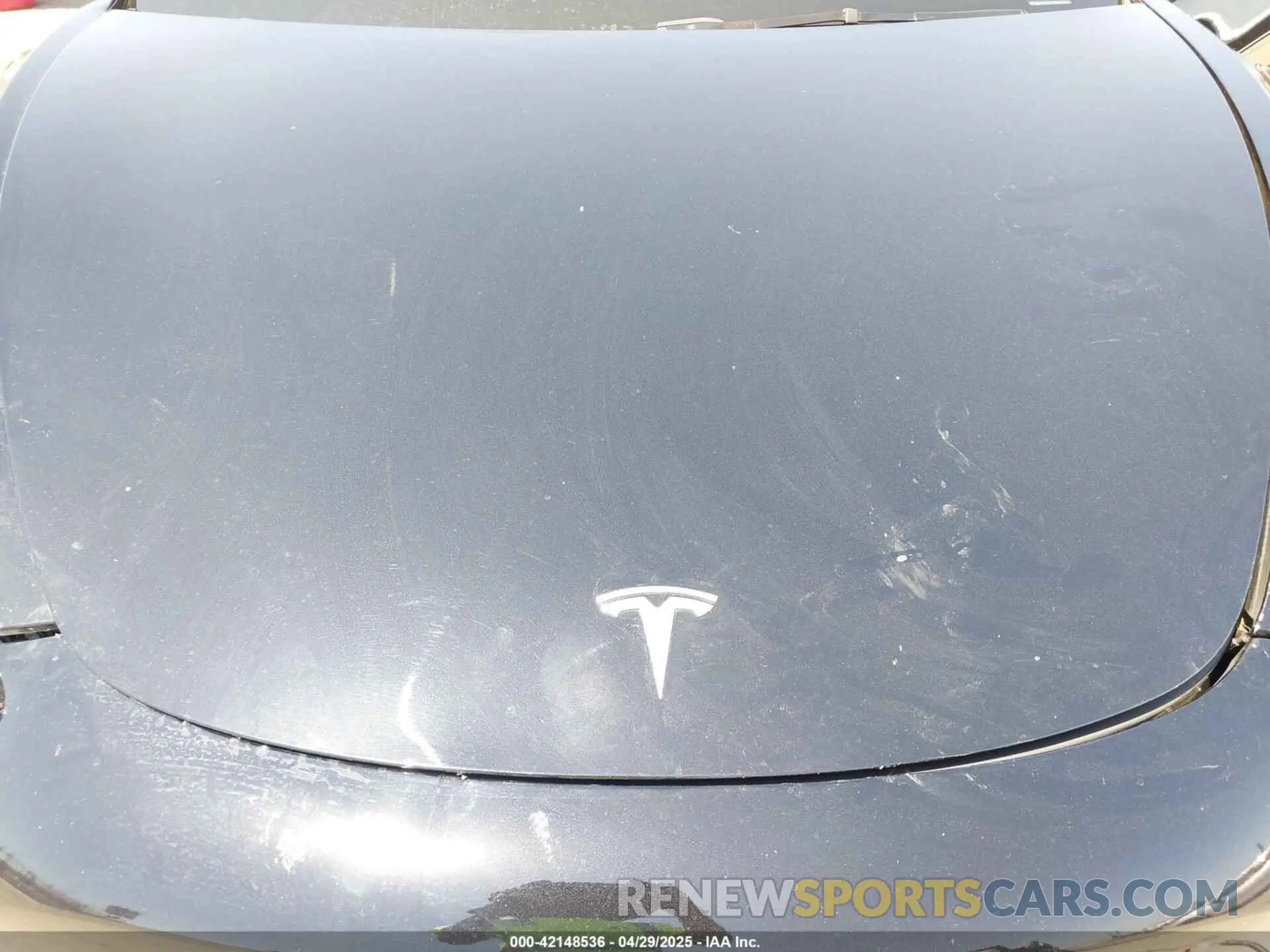 10 Photograph of a damaged car 5YJ3E1EA1PF599699 TESLA MODEL 3 2023