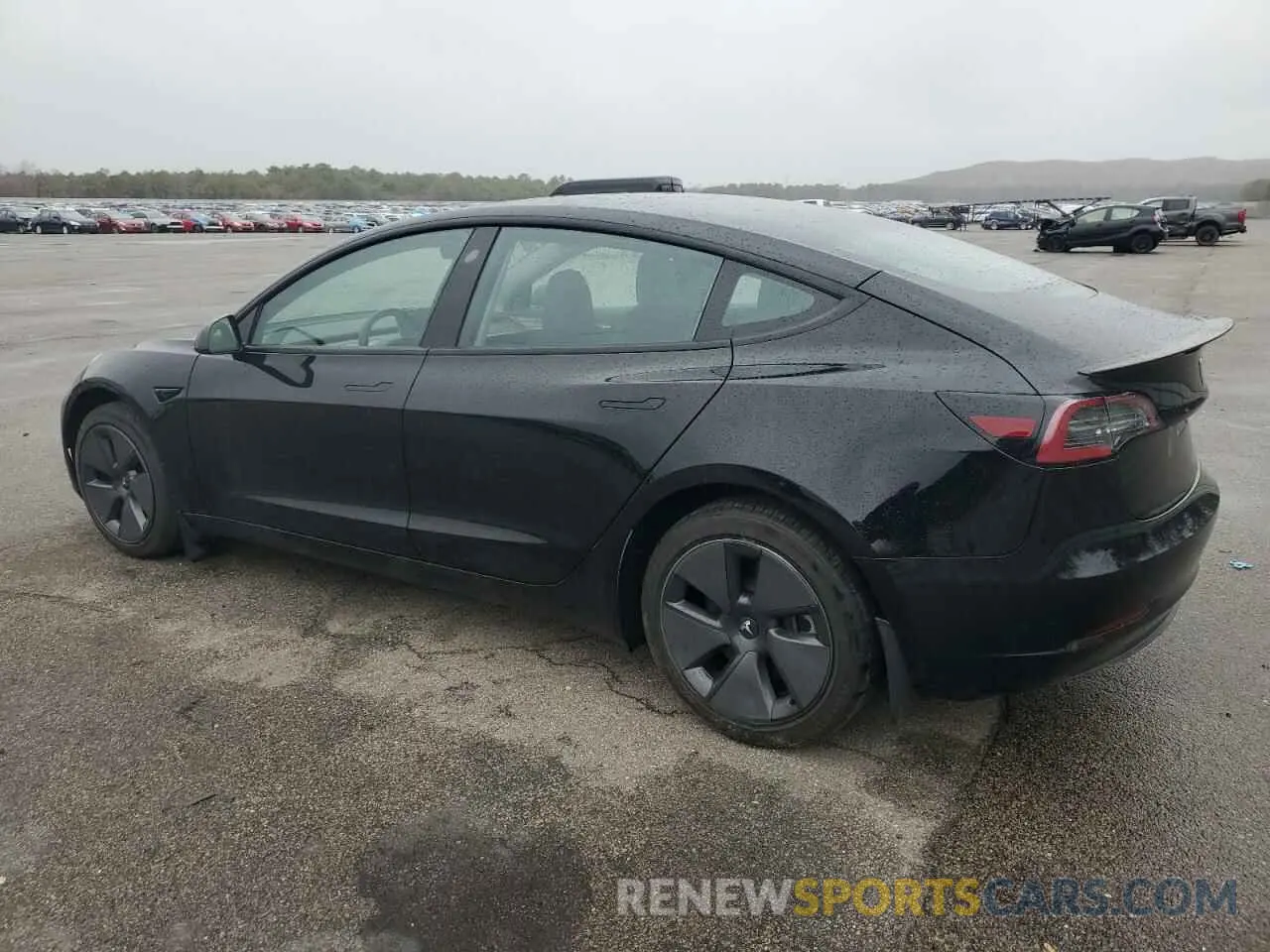 2 Photograph of a damaged car 5YJ3E1EA2PF495321 TESLA MODEL 3 2023