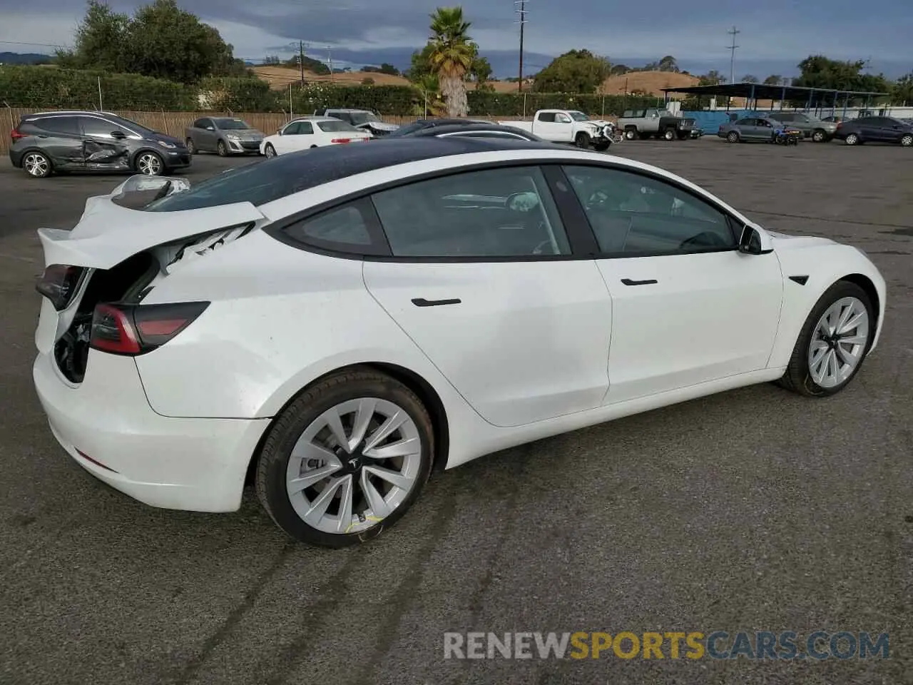 3 Photograph of a damaged car 5YJ3E1EA2PF541374 TESLA MODEL 3 2023