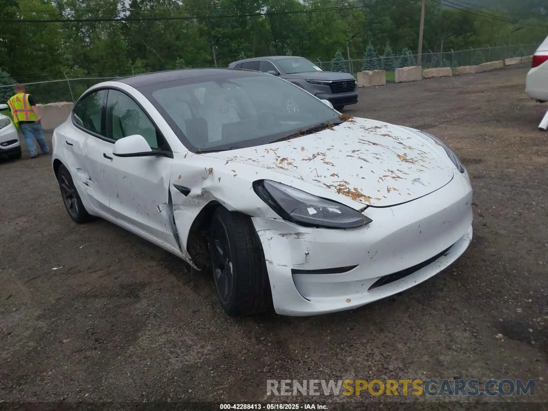 1 Photograph of a damaged car 5YJ3E1EA2PF626392 TESLA MODEL 3 2023