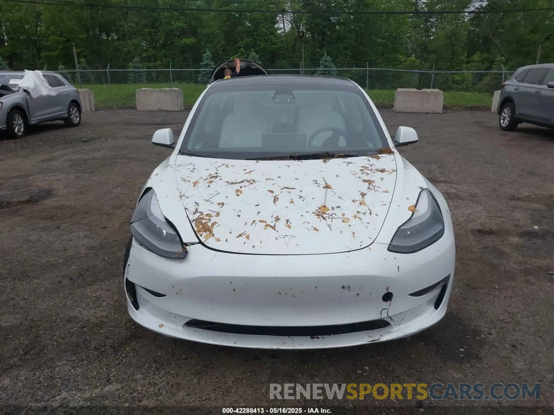 12 Photograph of a damaged car 5YJ3E1EA2PF626392 TESLA MODEL 3 2023