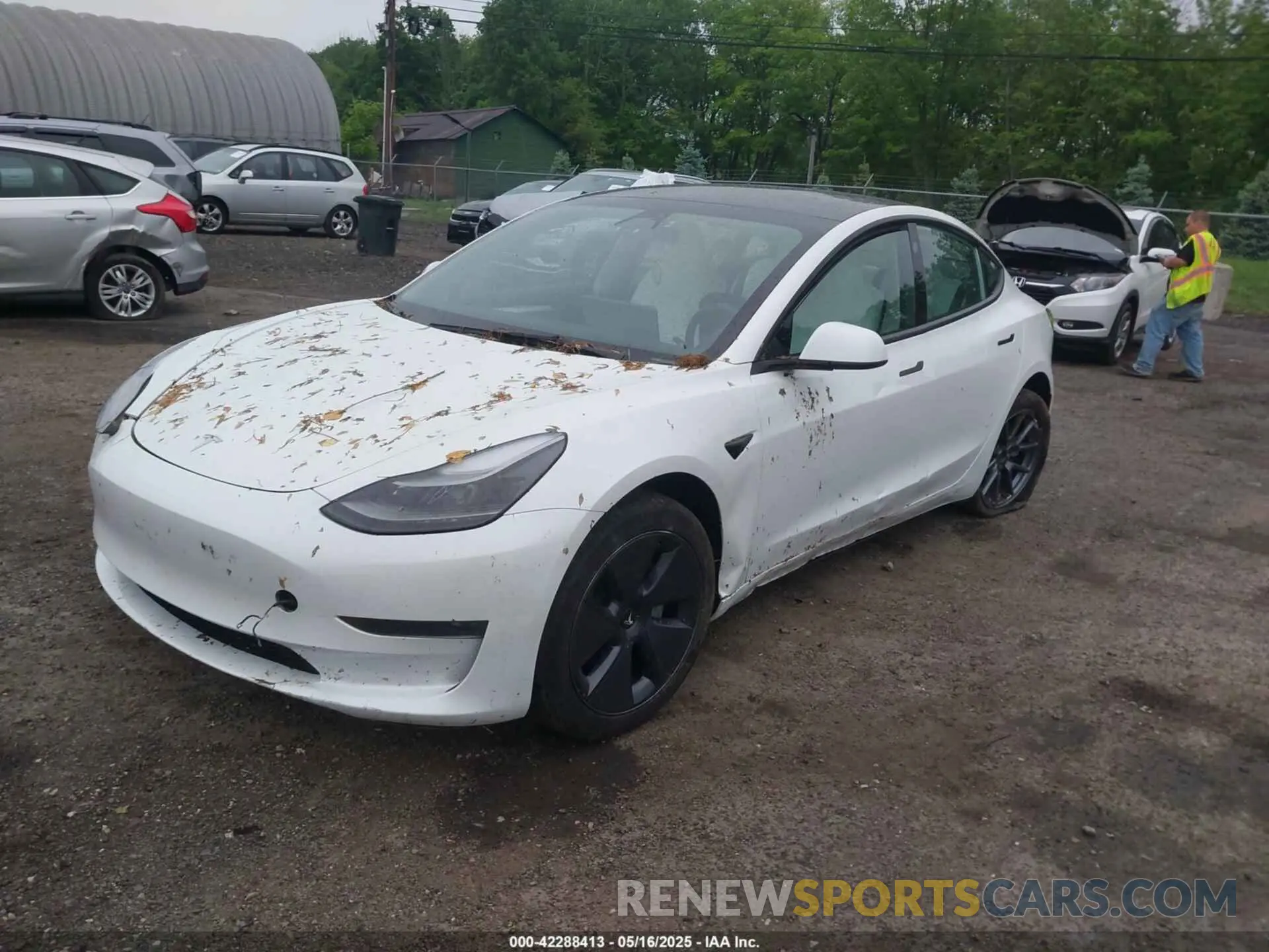 2 Photograph of a damaged car 5YJ3E1EA2PF626392 TESLA MODEL 3 2023