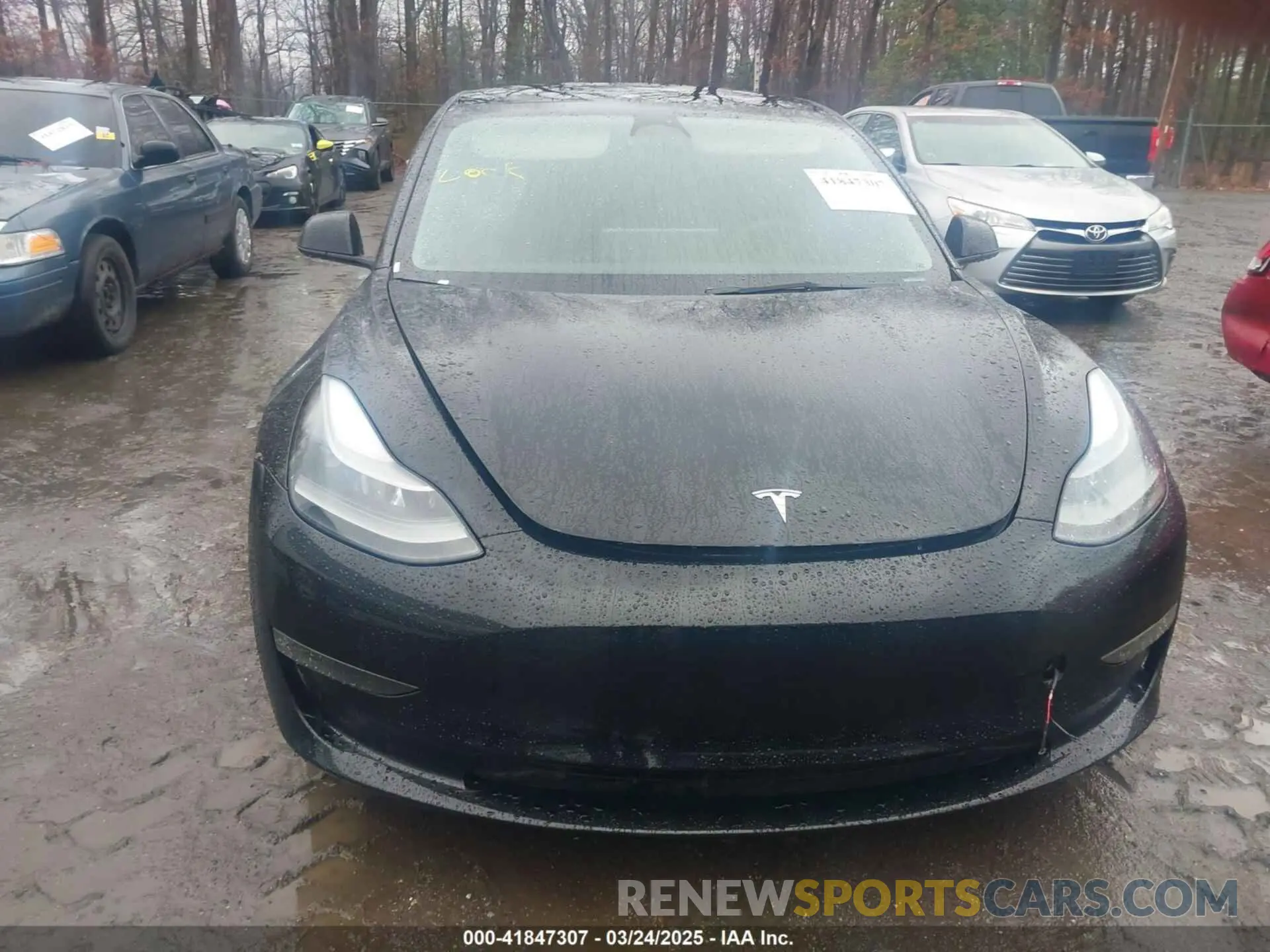 11 Photograph of a damaged car 5YJ3E1EA3PF435256 TESLA MODEL 3 2023