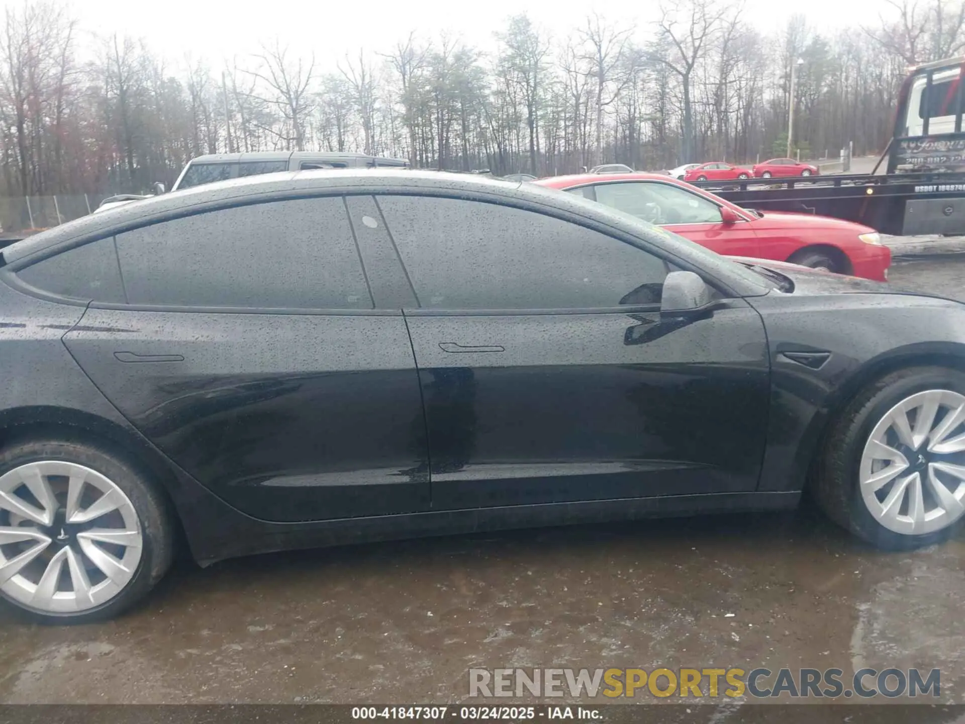 12 Photograph of a damaged car 5YJ3E1EA3PF435256 TESLA MODEL 3 2023