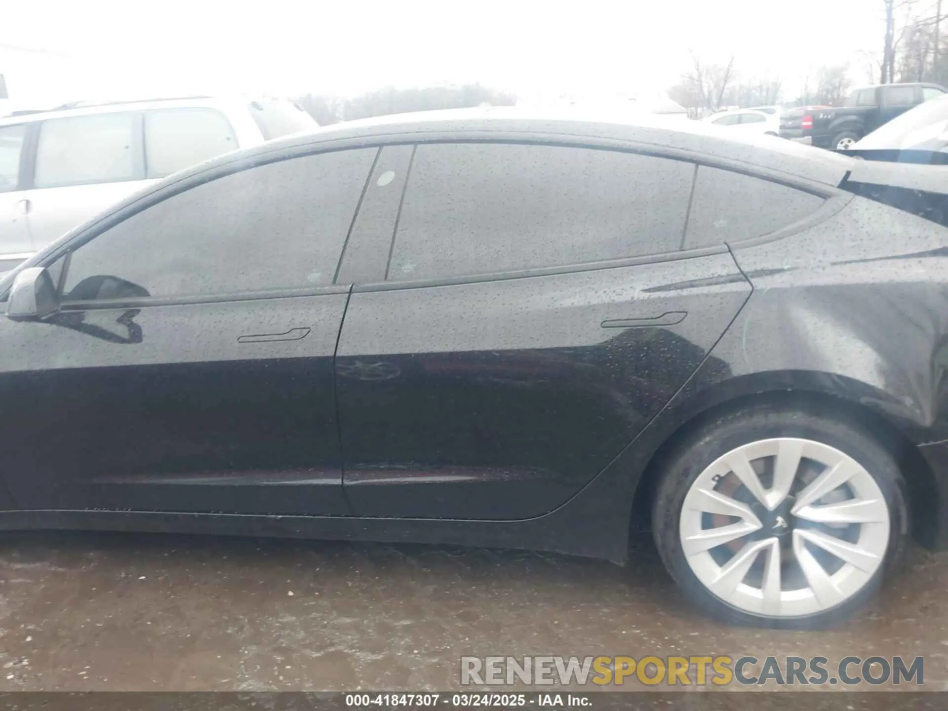 13 Photograph of a damaged car 5YJ3E1EA3PF435256 TESLA MODEL 3 2023