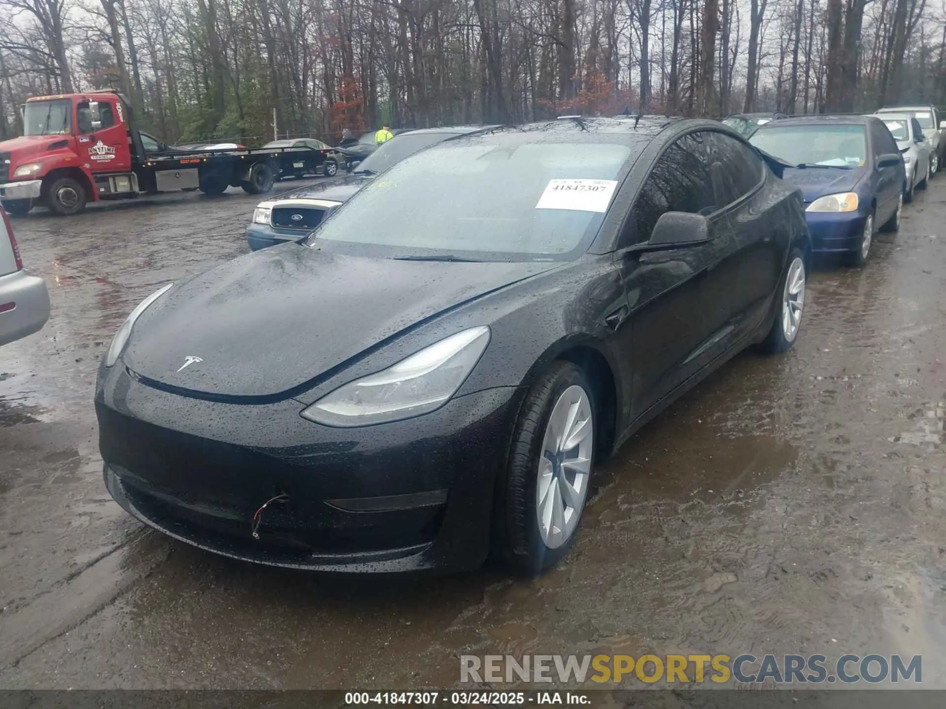 2 Photograph of a damaged car 5YJ3E1EA3PF435256 TESLA MODEL 3 2023