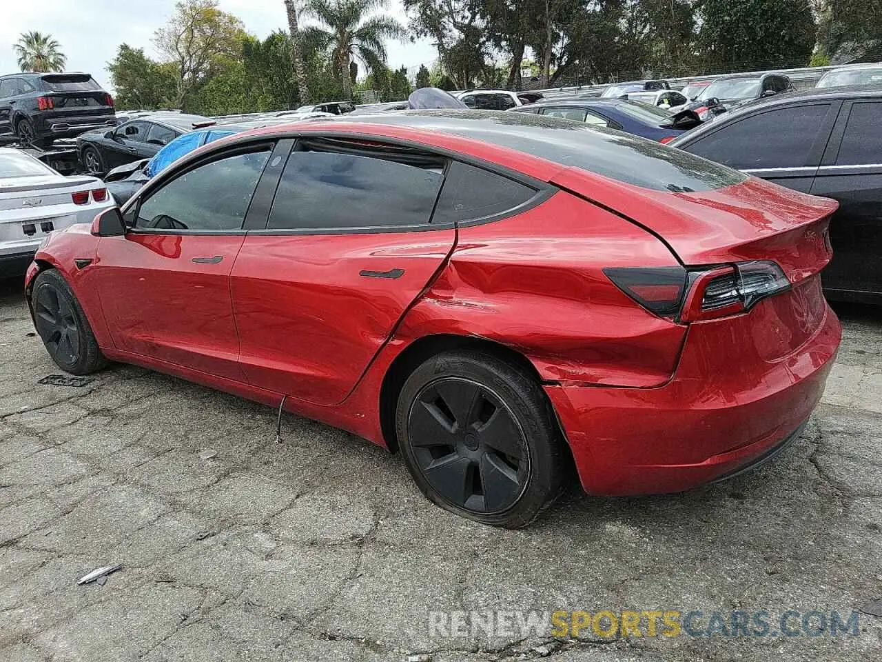 2 Photograph of a damaged car 5YJ3E1EA3PF449643 TESLA MODEL 3 2023