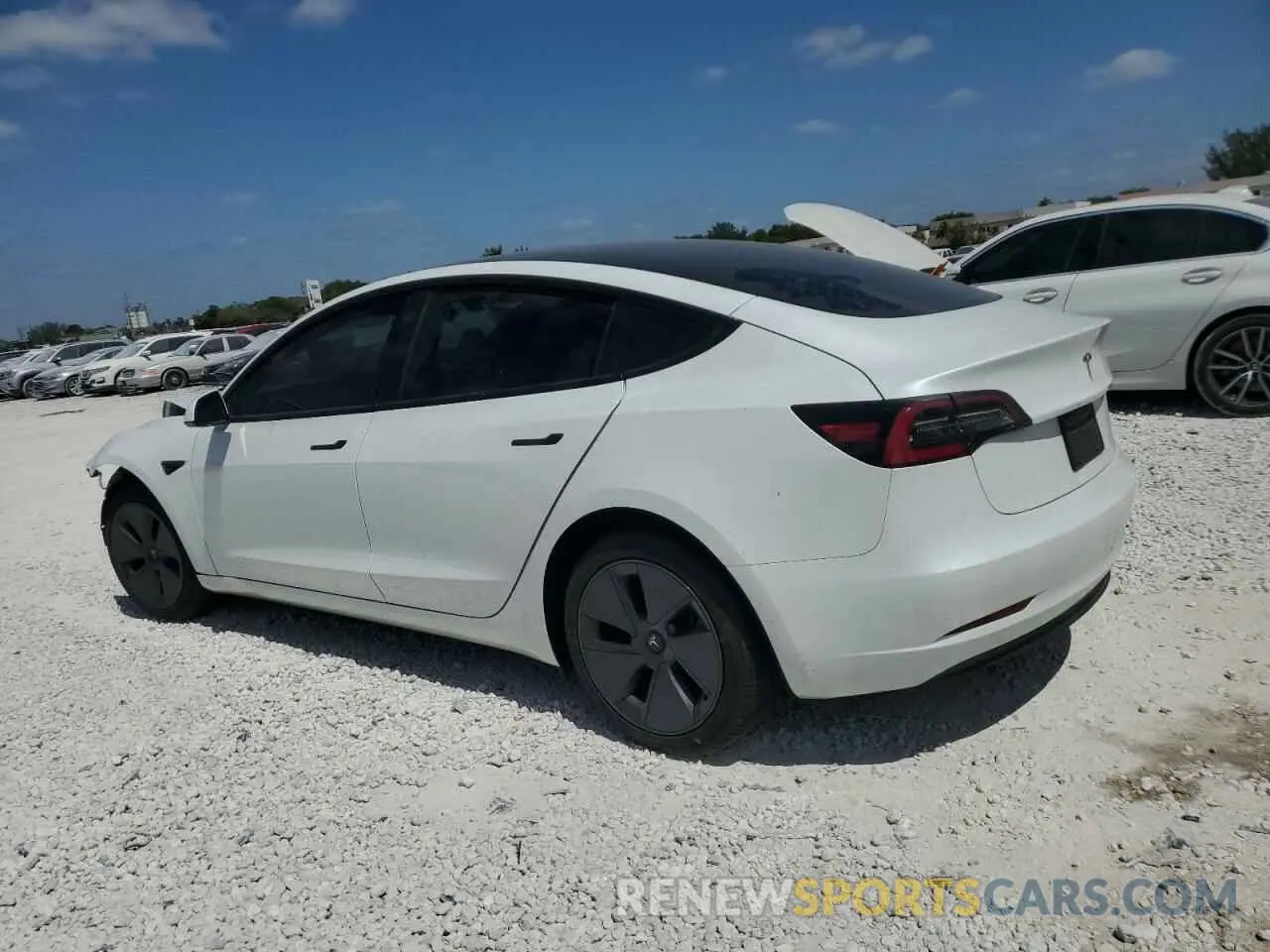 2 Photograph of a damaged car 5YJ3E1EA3PF495778 TESLA MODEL 3 2023