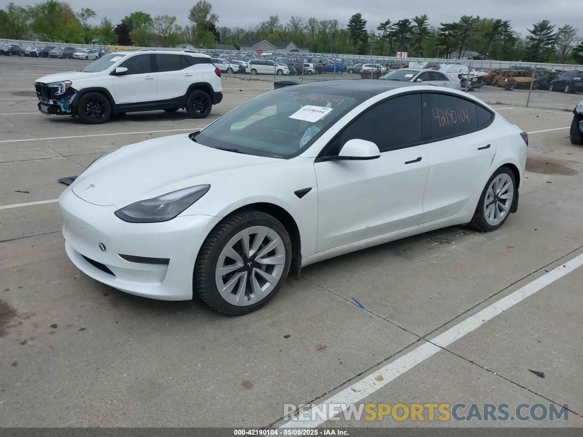 2 Photograph of a damaged car 5YJ3E1EA3PF563240 TESLA MODEL 3 2023