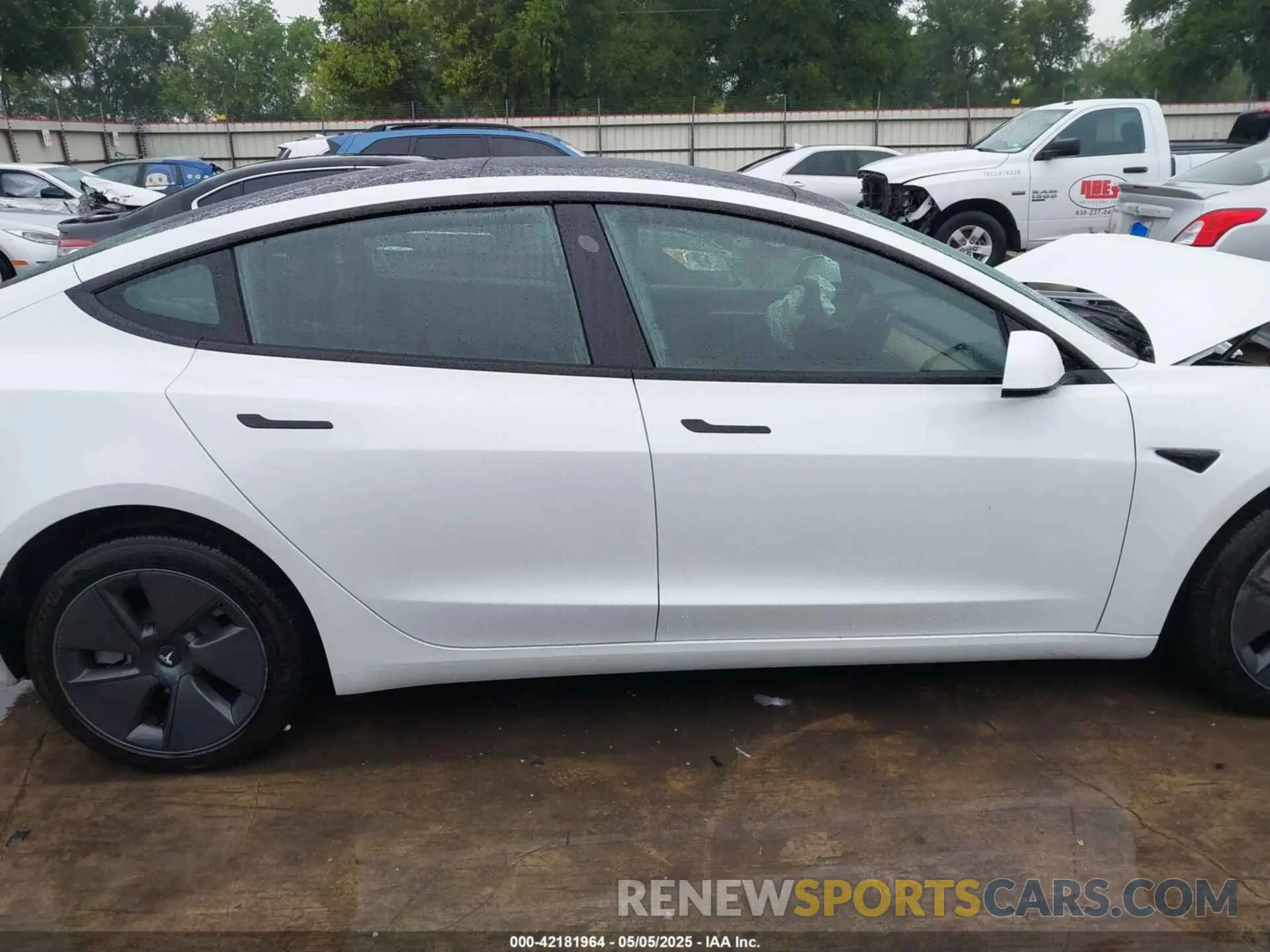 12 Photograph of a damaged car 5YJ3E1EA3PF604076 TESLA MODEL 3 2023